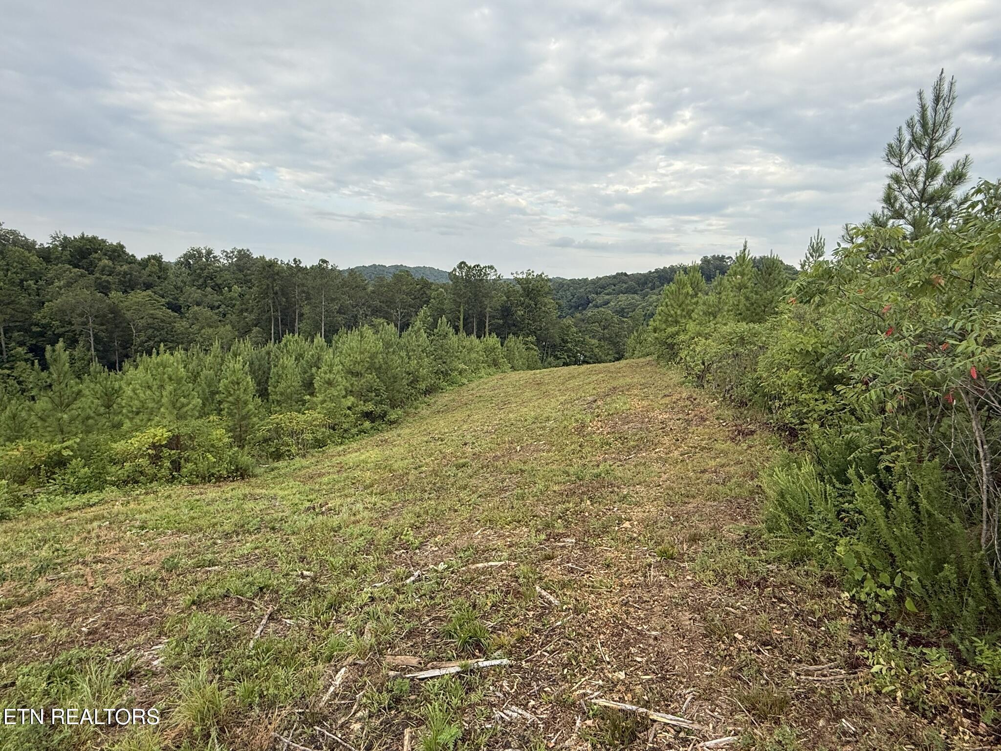 Three Point Rd, Vonore, TN - Fort Loudoun and Tellico Lake Real Estate - Image# 6