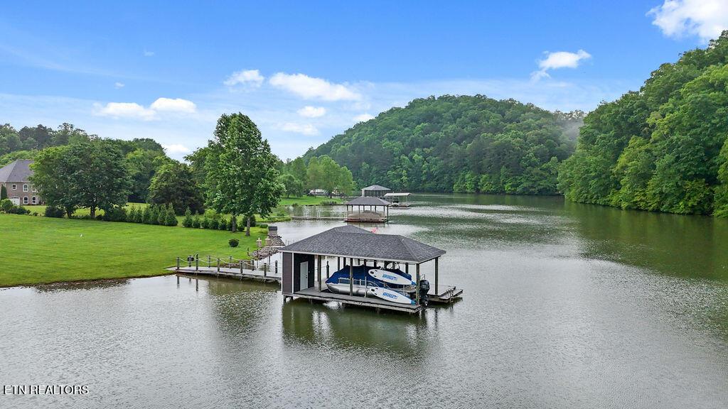 Fort Loudoun and Tellico Lake Real Estate - Image# 51