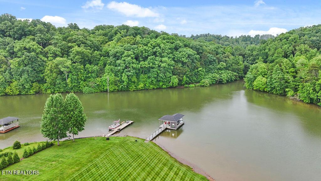 Fort Loudoun and Tellico Lake Real Estate - Image# 53