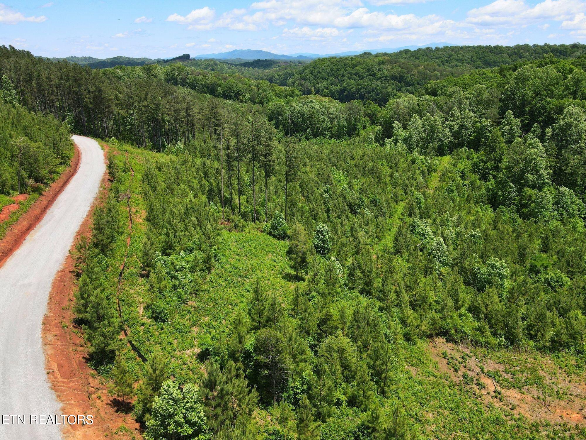 Lot 12 Winding Tr, Vonore, TN - Fort Loudoun and Tellico Lake Real Estate - Image# 11