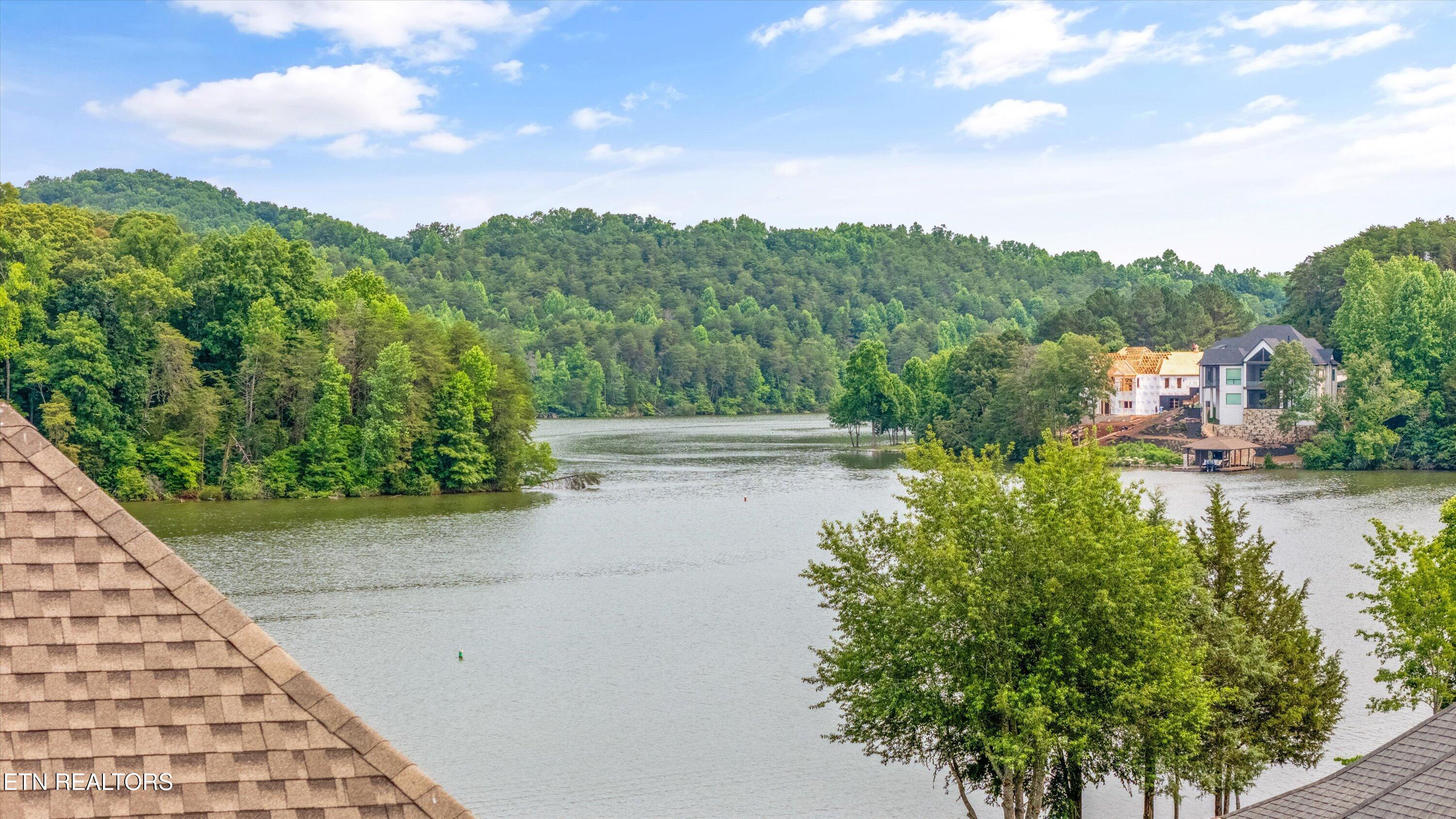 325 Pineberry Drive, Vonore, TN - Fort Loudoun and Tellico Lake Real Estate - Image# 46