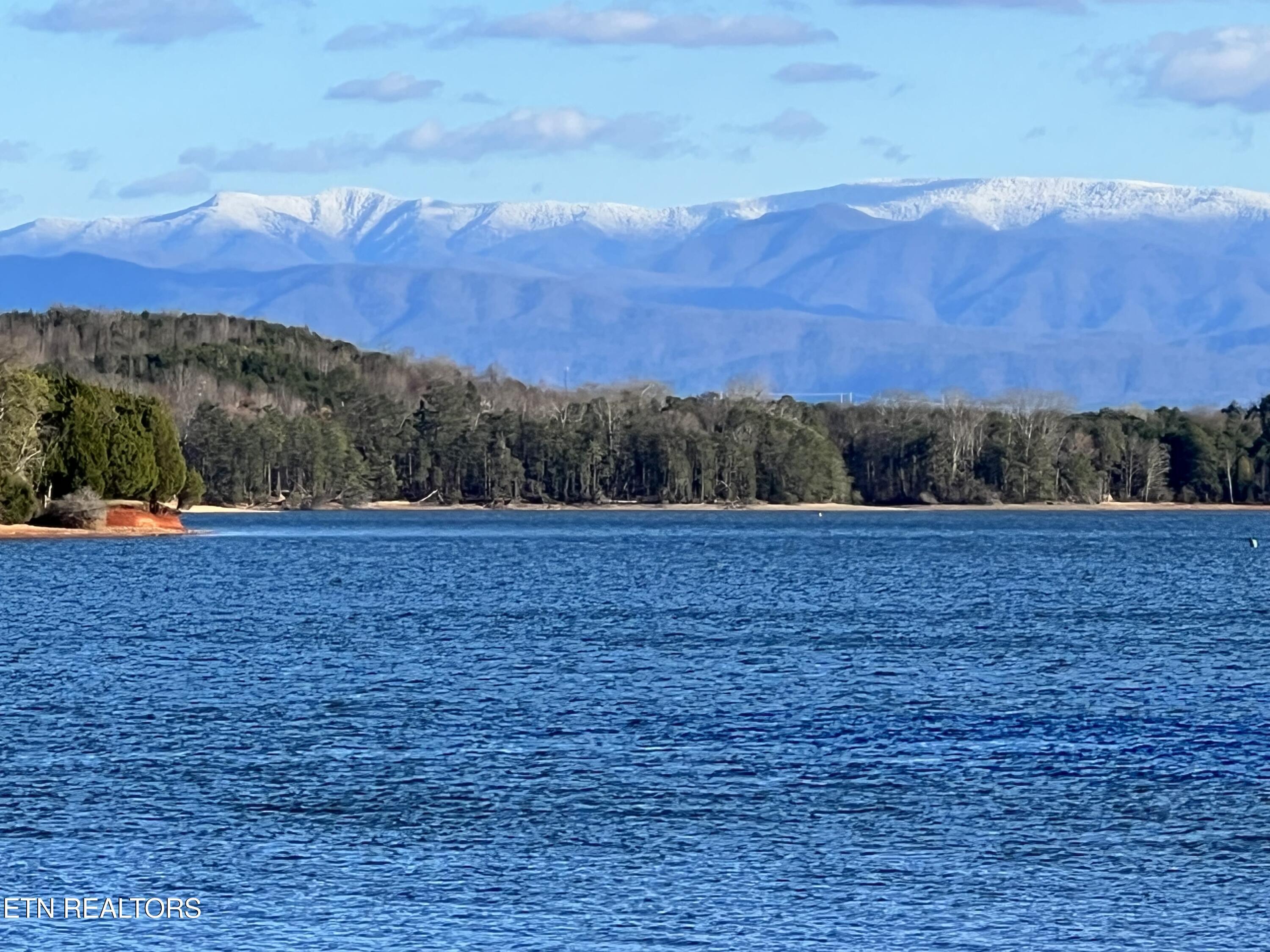 325 Pineberry Drive, Vonore, TN - Fort Loudoun and Tellico Lake Real Estate - Image# 47
