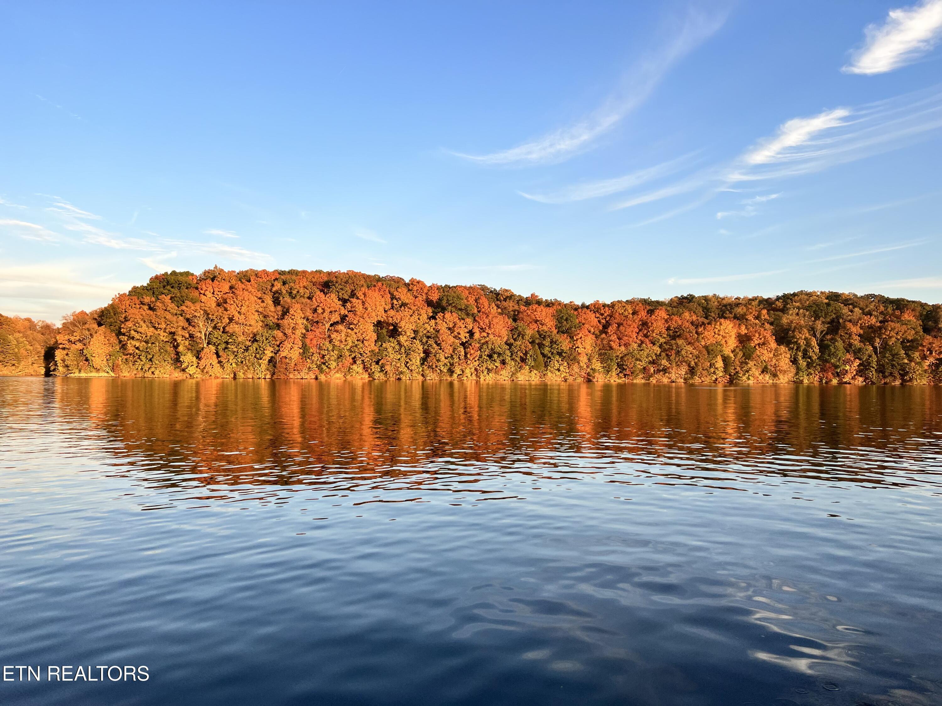 325 Pineberry Drive, Vonore, TN - Fort Loudoun and Tellico Lake Real Estate - Image# 45