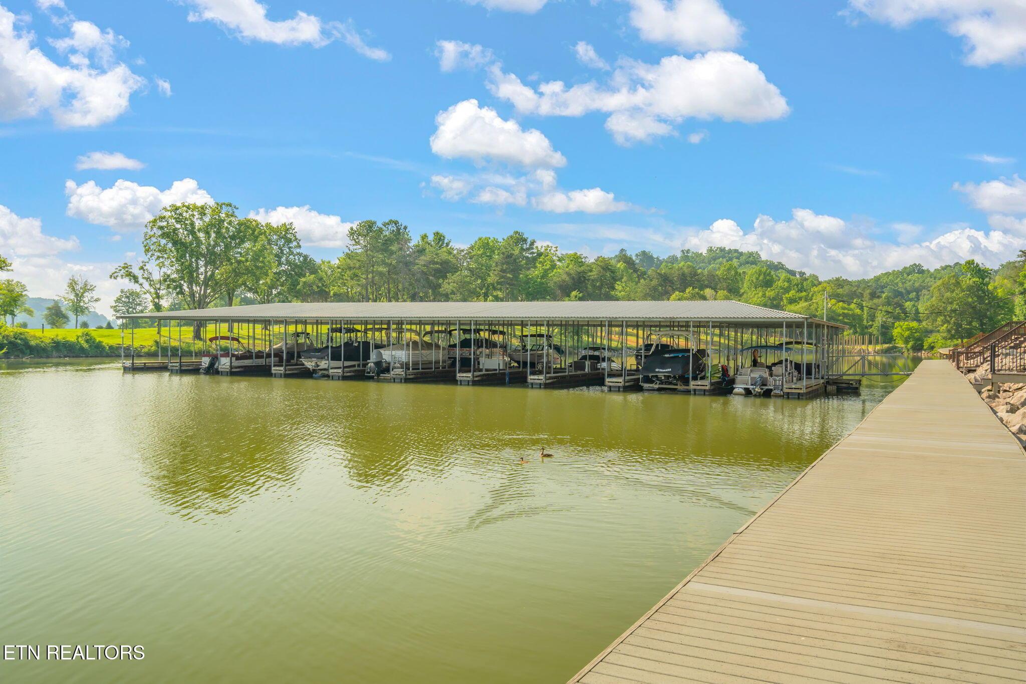 3210 Gazebo Point Way, Knoxville, TN - Fort Loudoun and Tellico Lake Real Estate - Image# 43