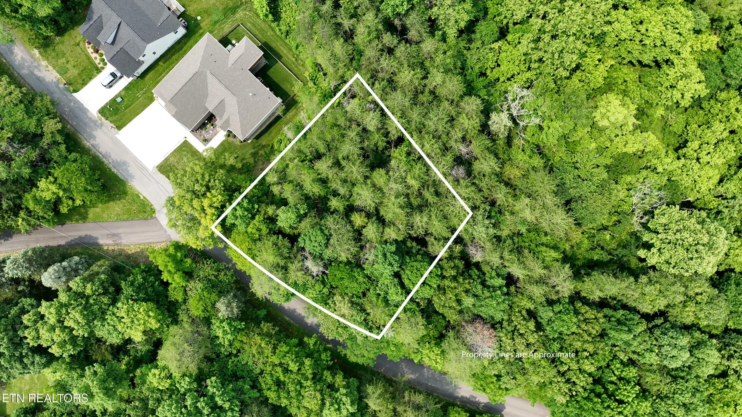 Fort Loudoun and Tellico Lake Real Estate - Image# 2