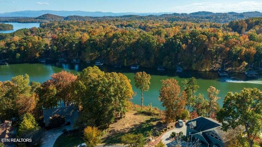 201 Amohi Way, Loudon, TN - Fort Loudoun and Tellico Lake Real Estate - Image# 3