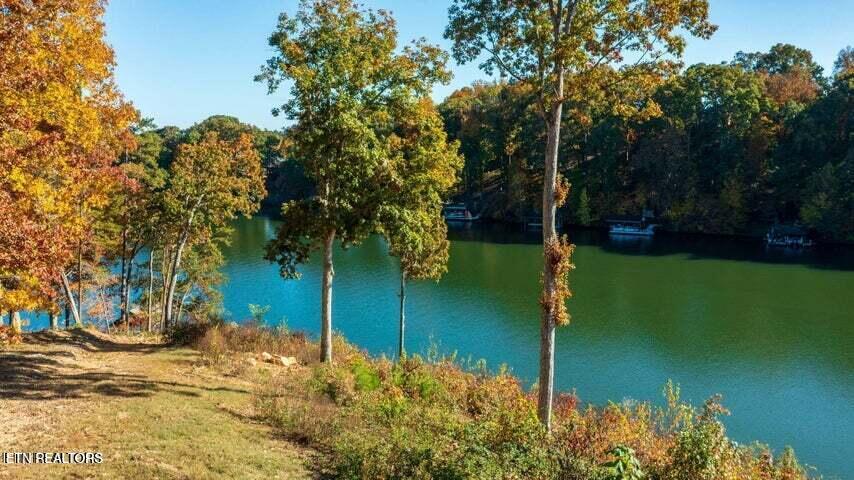 201 Amohi Way, Loudon, TN - Fort Loudoun and Tellico Lake Real Estate - Image# 17