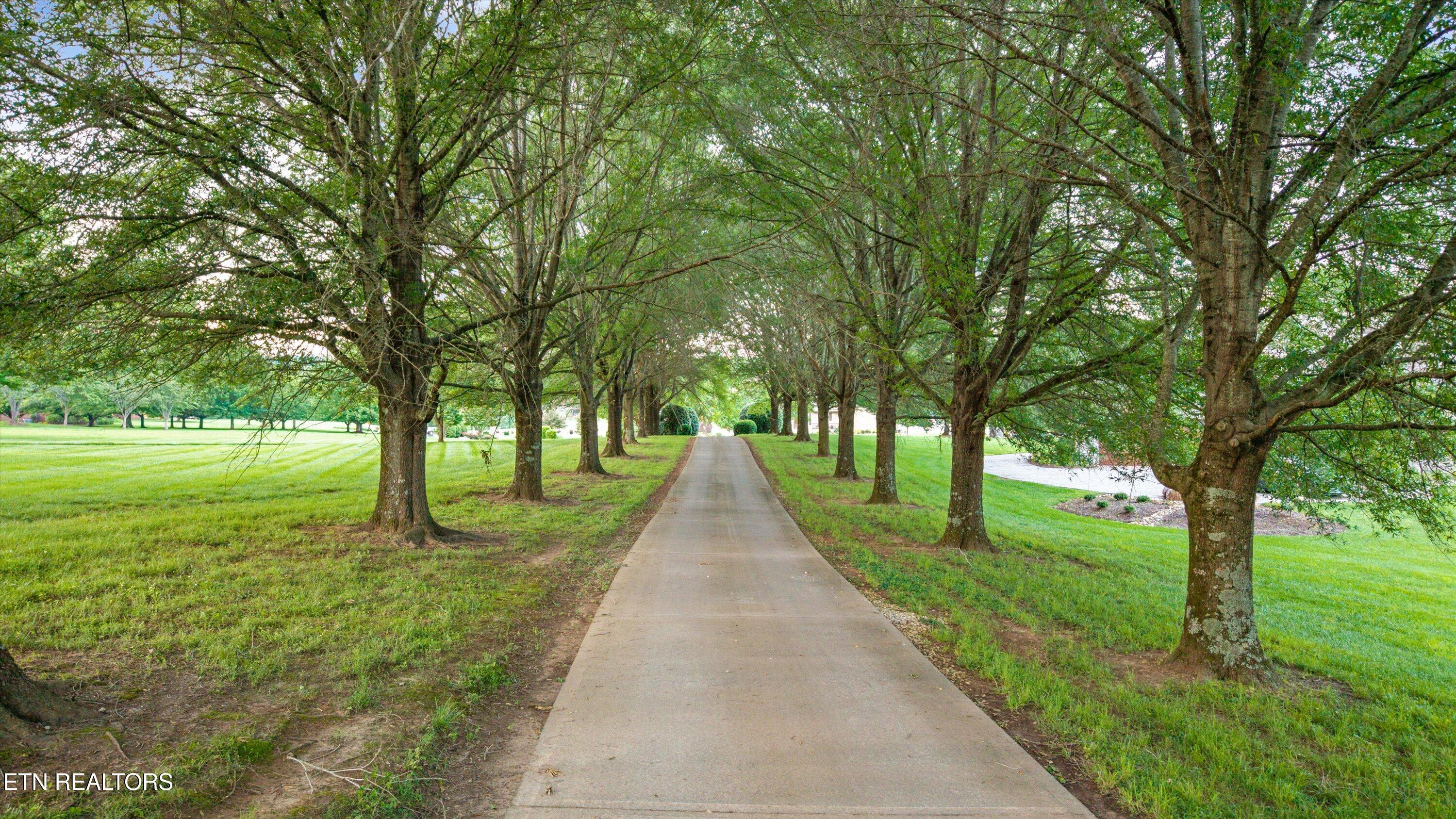 3801 Jackson Bend Drive, Louisville, TN - Fort Loudoun and Tellico Lake Real Estate - Image# 60