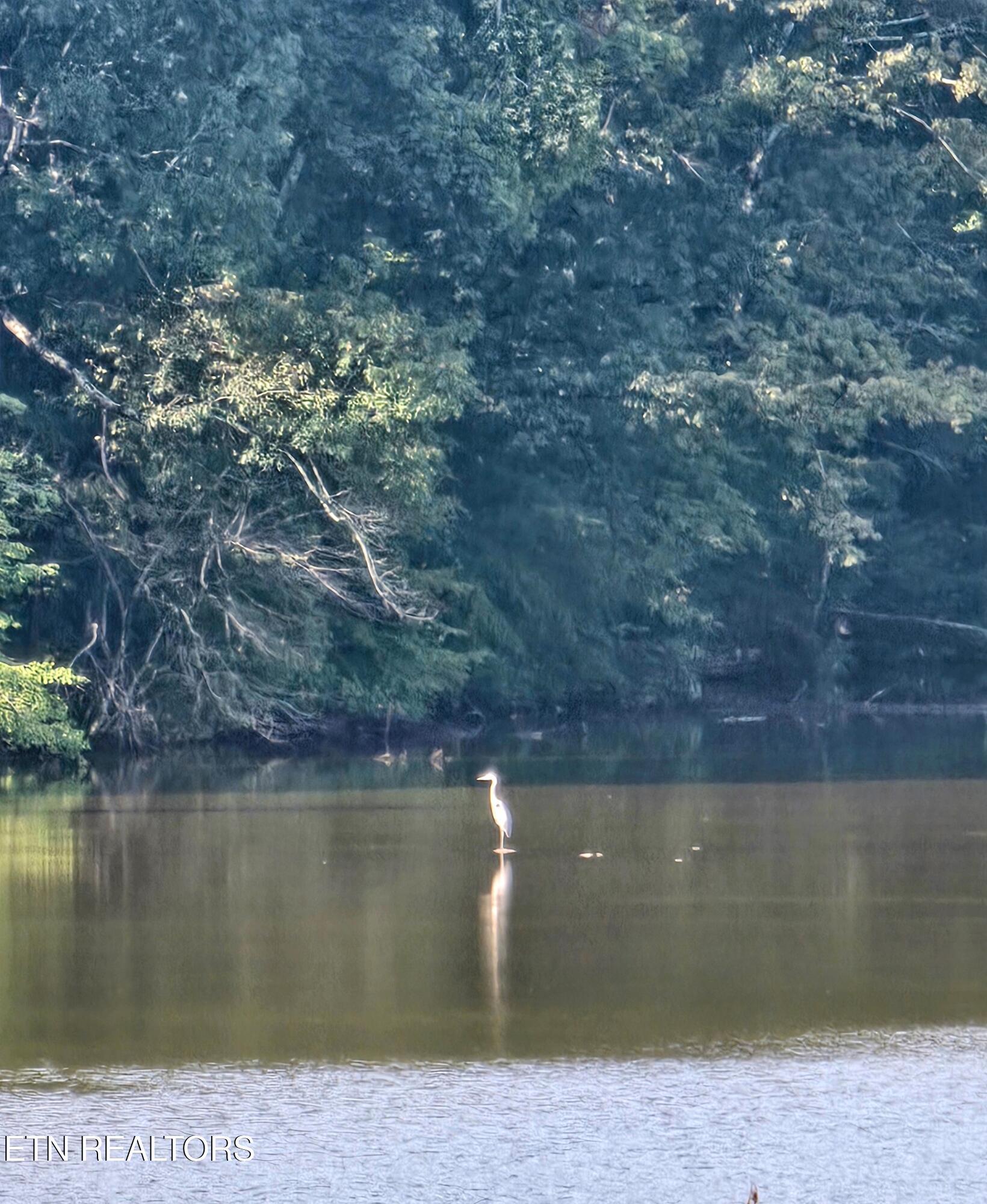 133 Cedar Crest Lane, Friendsville, TN - Fort Loudoun and Tellico Lake Real Estate - Image# 56