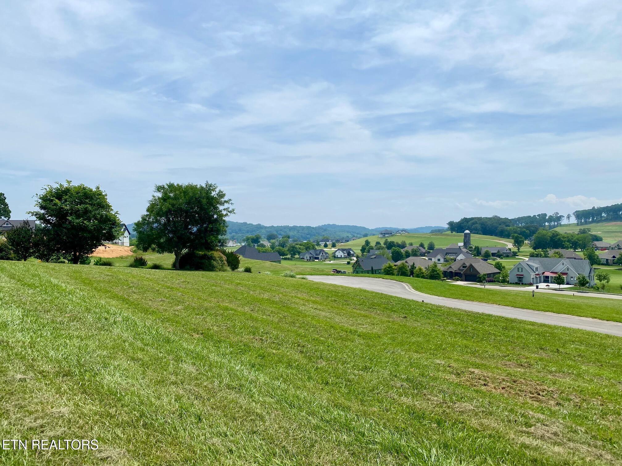 Lot 196 419 Hawks Bend, Loudon, TN - Fort Loudoun and Tellico Lake Real Estate - Image# 6