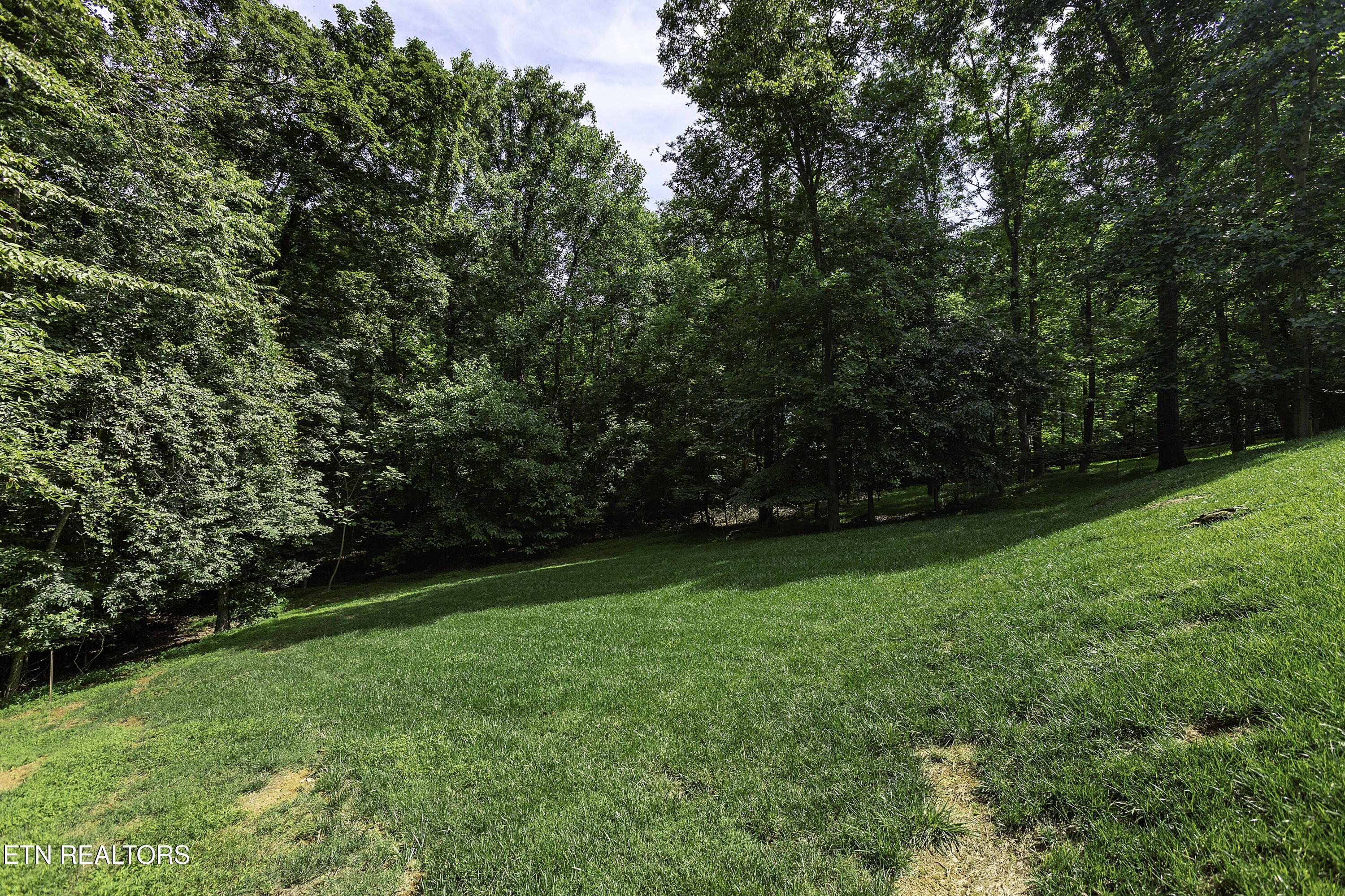 4335 Deer Run Drive, Louisville, TN - Fort Loudoun and Tellico Lake Real Estate - Image# 10