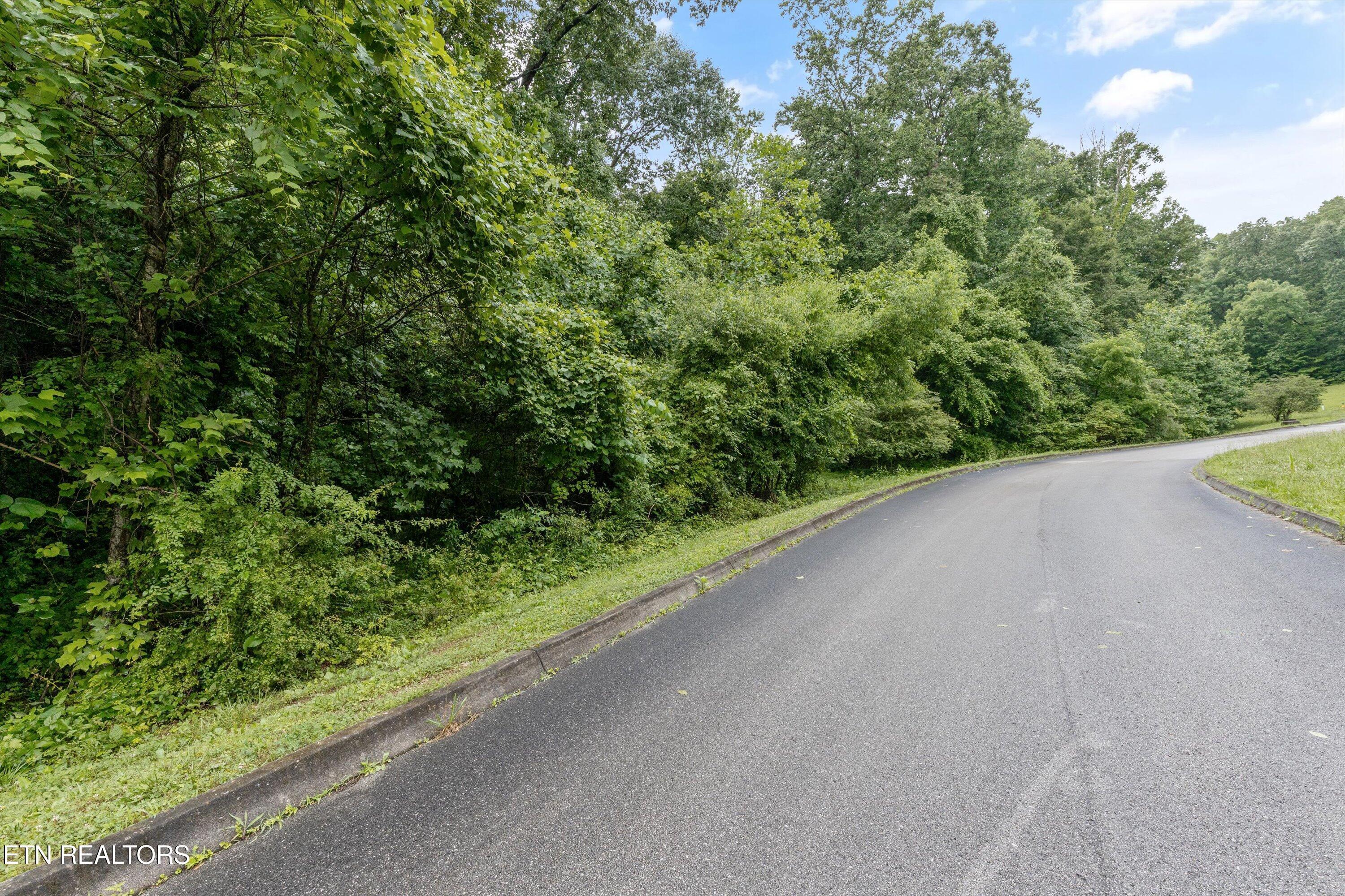 404 Quiet River Lane, Loudon, TN - Fort Loudoun and Tellico Lake Real Estate - Image# 5