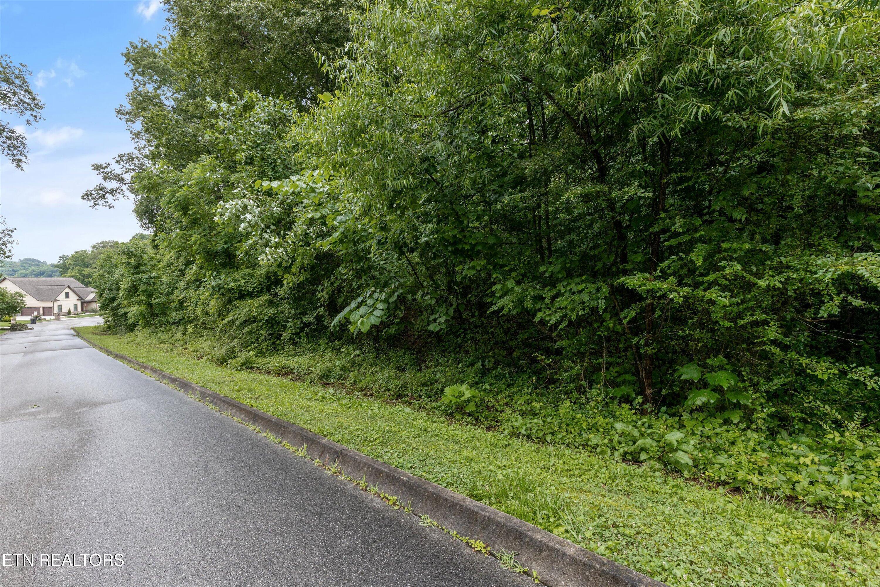 404 Quiet River Lane, Loudon, TN - Fort Loudoun and Tellico Lake Real Estate - Image# 6