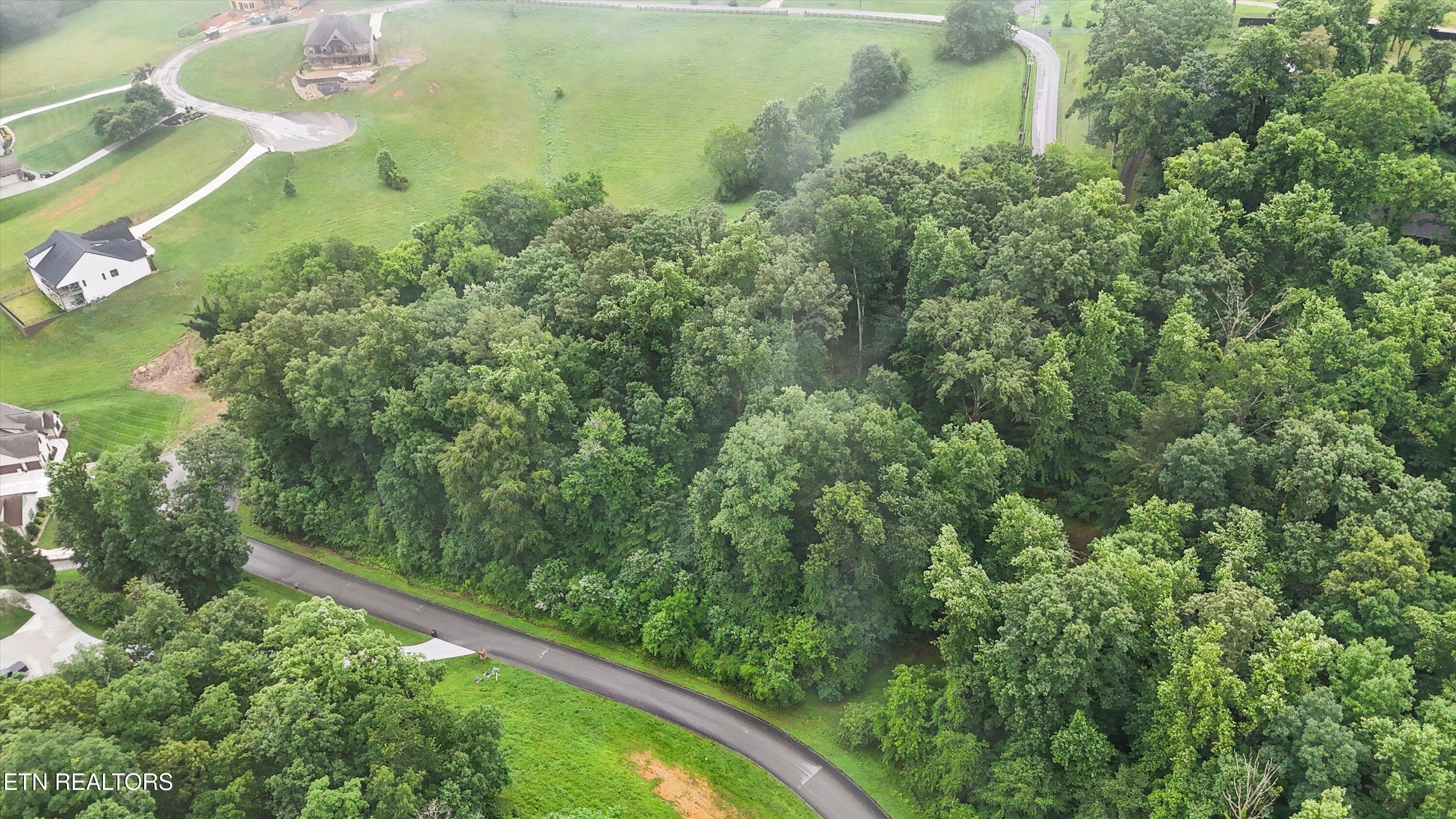 404 Quiet River Lane, Loudon, TN - Fort Loudoun and Tellico Lake Real Estate - Image# 9
