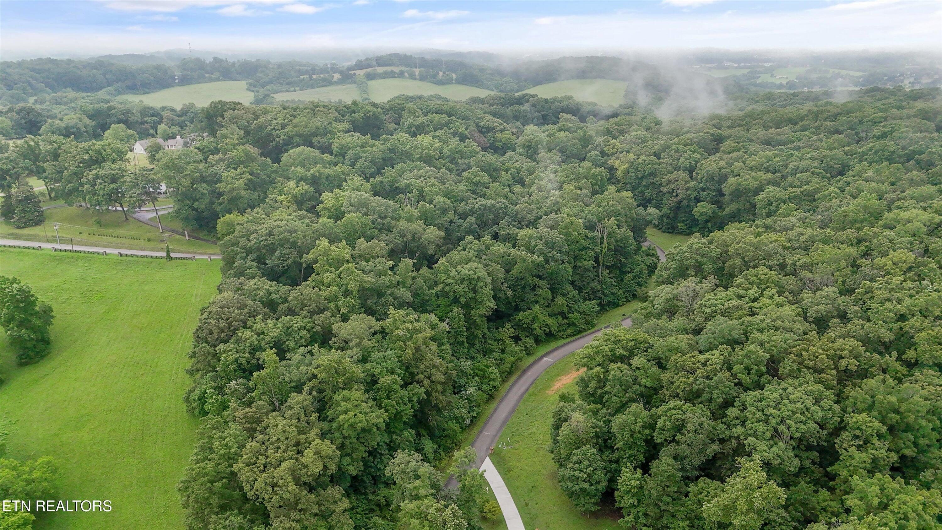 404 Quiet River Lane, Loudon, TN - Fort Loudoun and Tellico Lake Real Estate - Image# 10