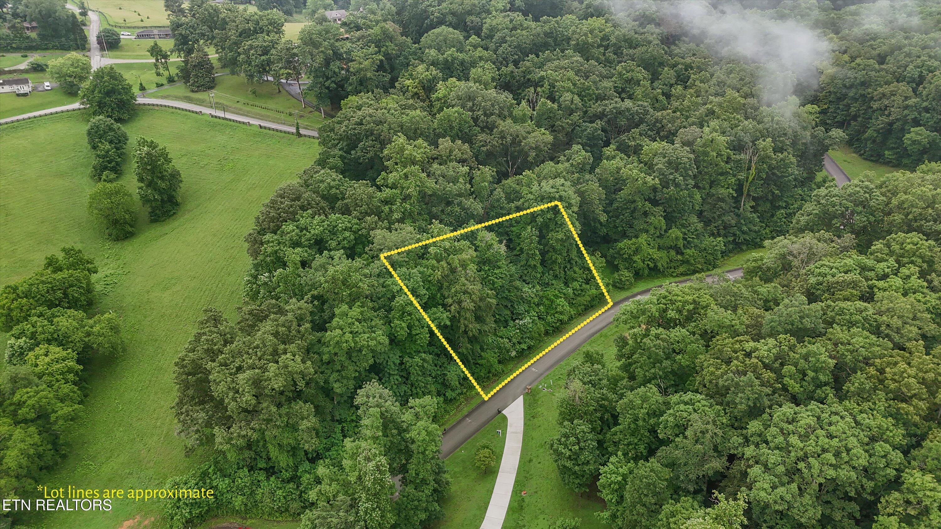 404 Quiet River Lane, Loudon, TN - Fort Loudoun and Tellico Lake Real Estate - Image# 1