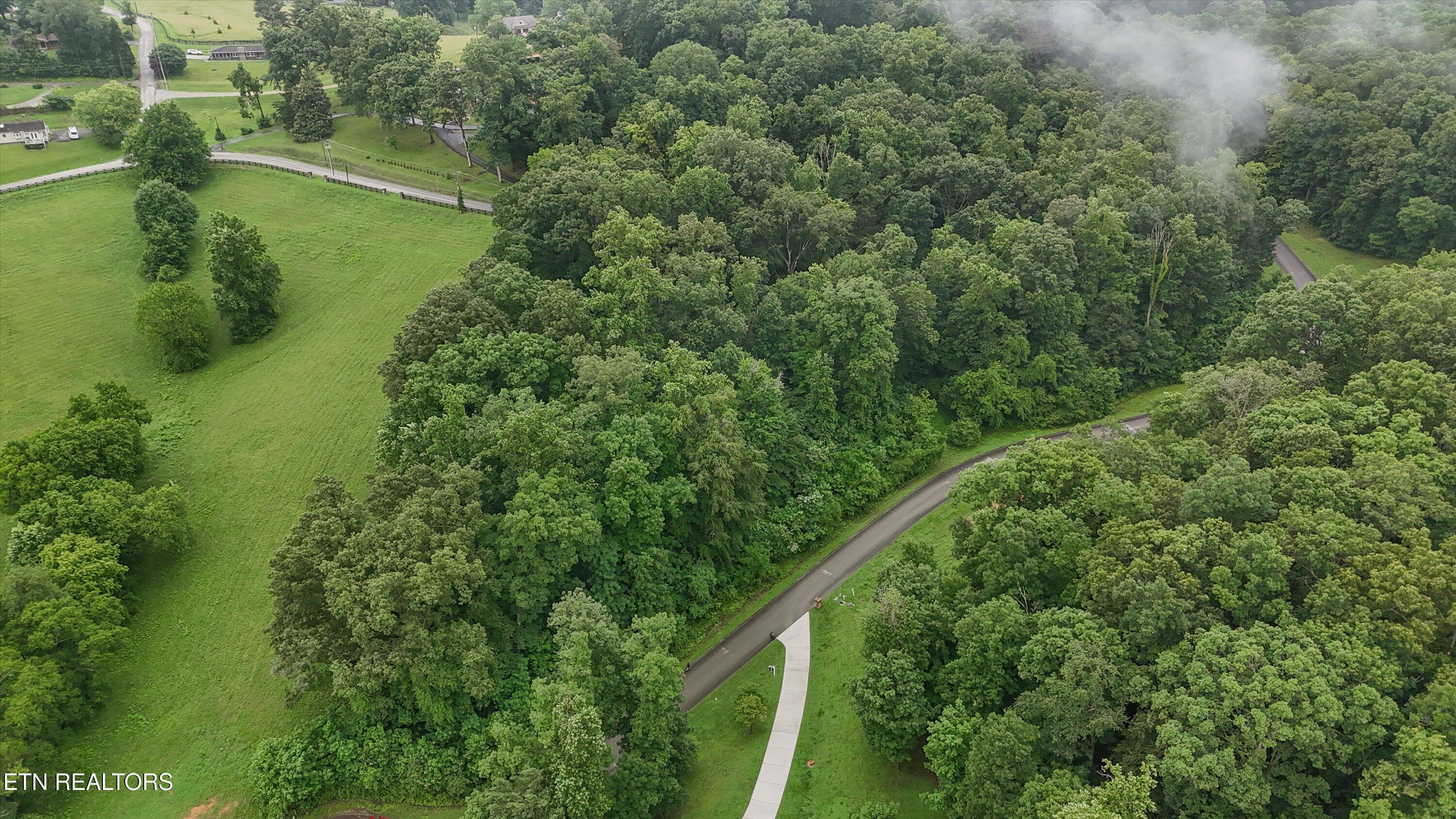 404 Quiet River Lane, Loudon, TN - Fort Loudoun and Tellico Lake Real Estate - Image# 11