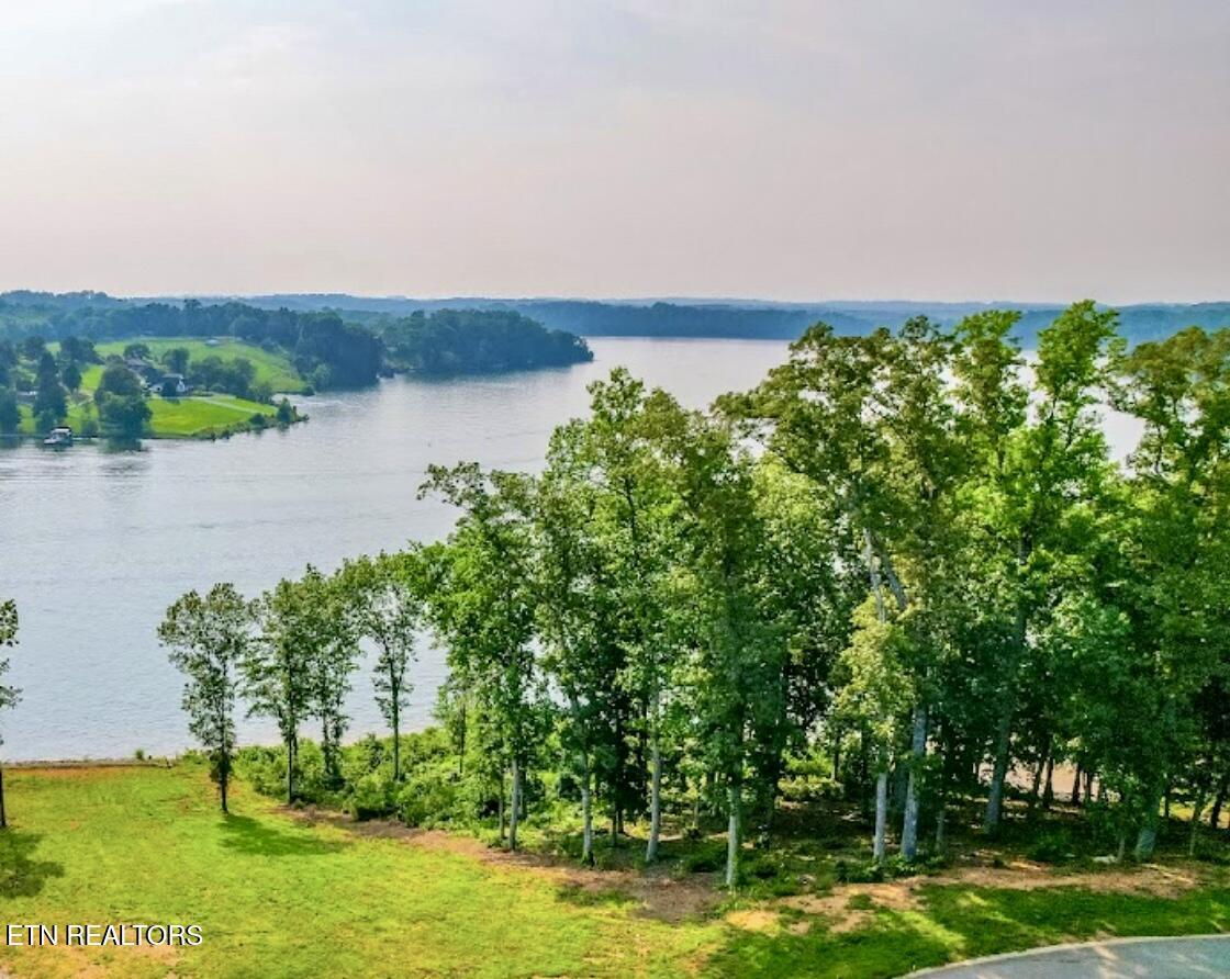 Fort Loudoun and Tellico Lake Real Estate - Image# 3