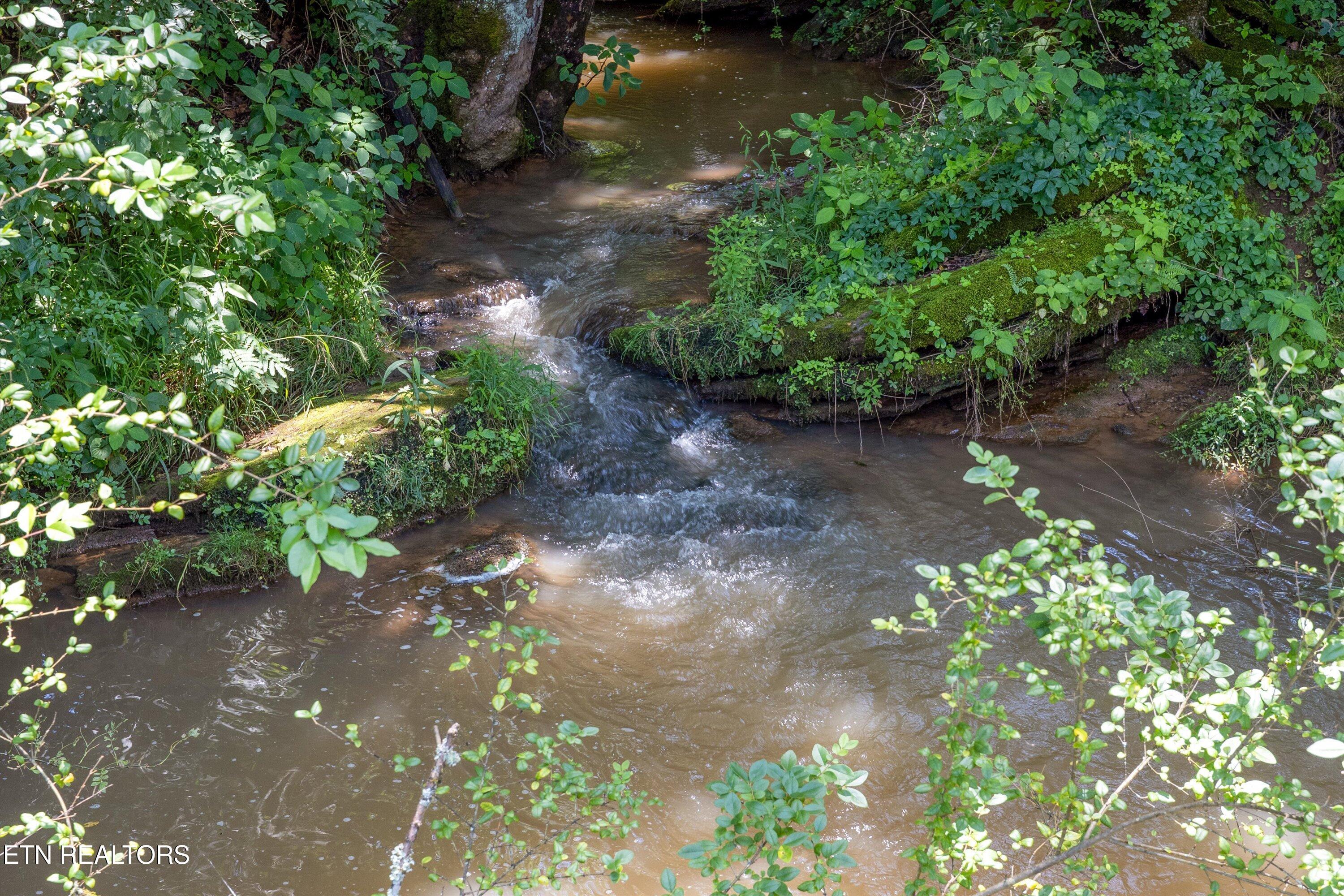 Fort Loudoun and Tellico Lake Real Estate - Image# 10