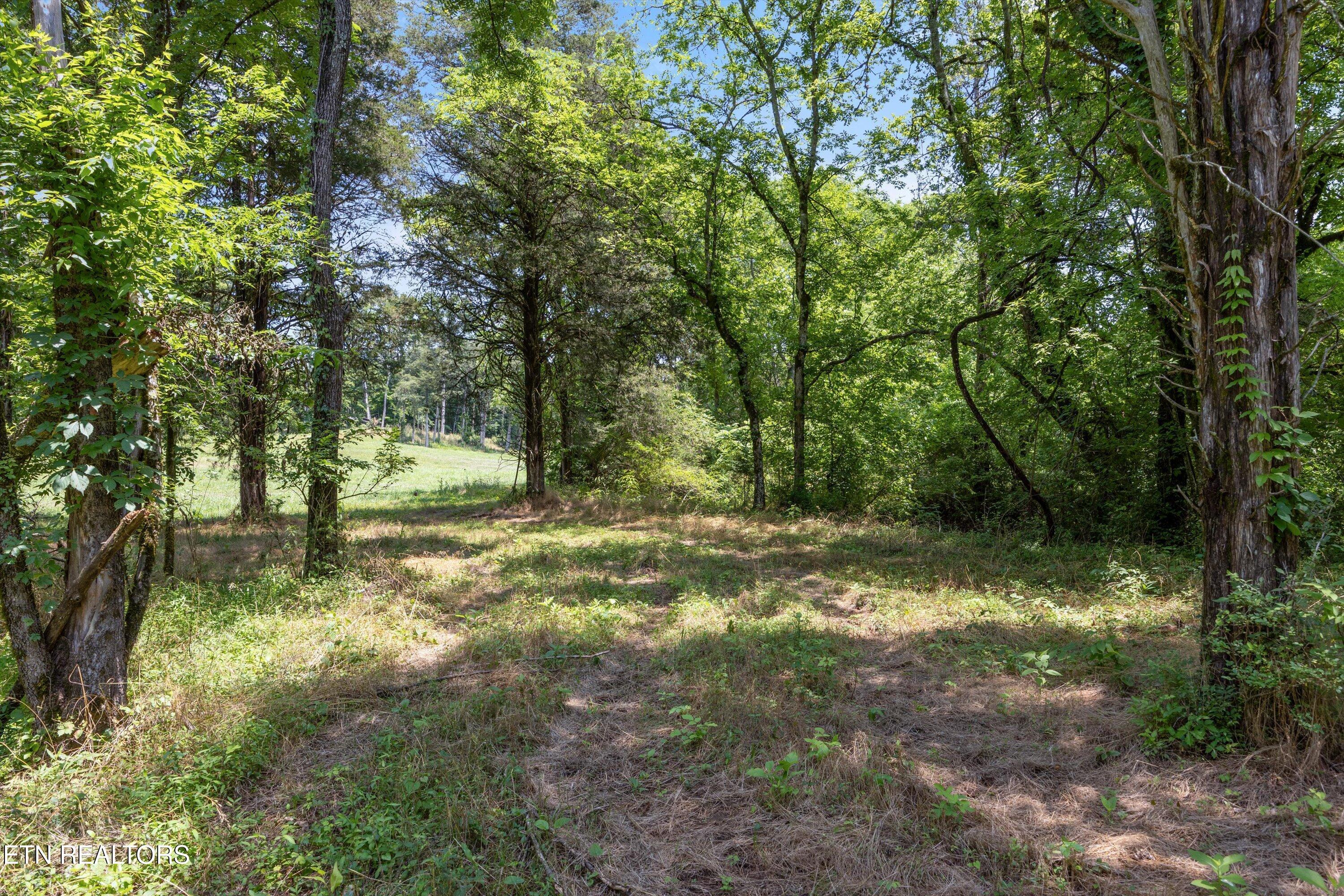 Fort Loudoun and Tellico Lake Real Estate - Image# 14
