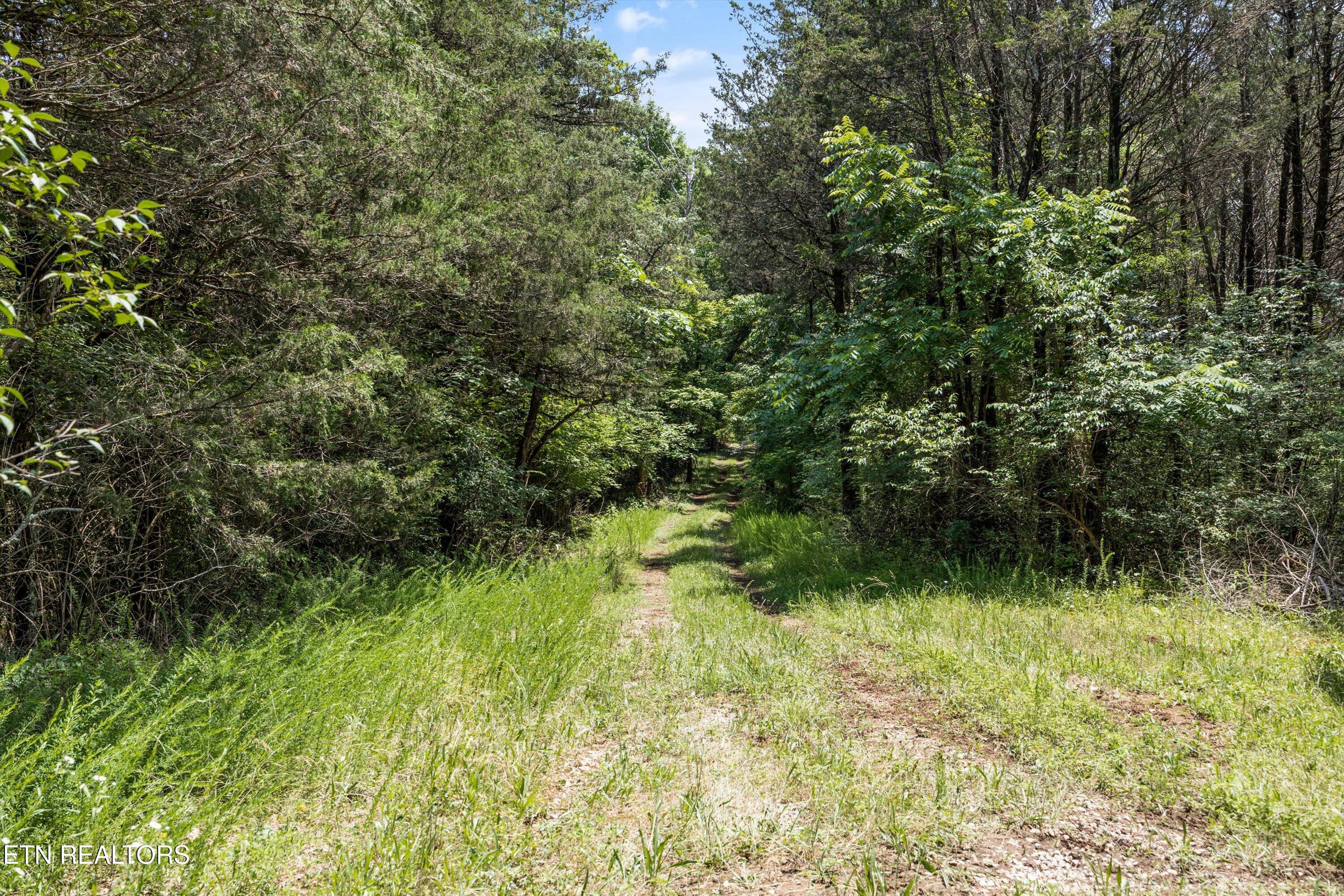 Fort Loudoun and Tellico Lake Real Estate - Image# 15