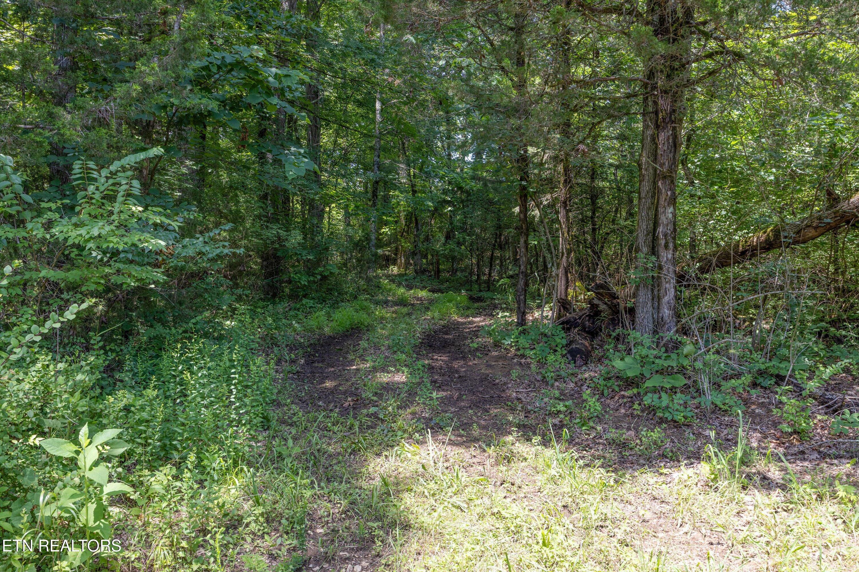 Fort Loudoun and Tellico Lake Real Estate - Image# 17