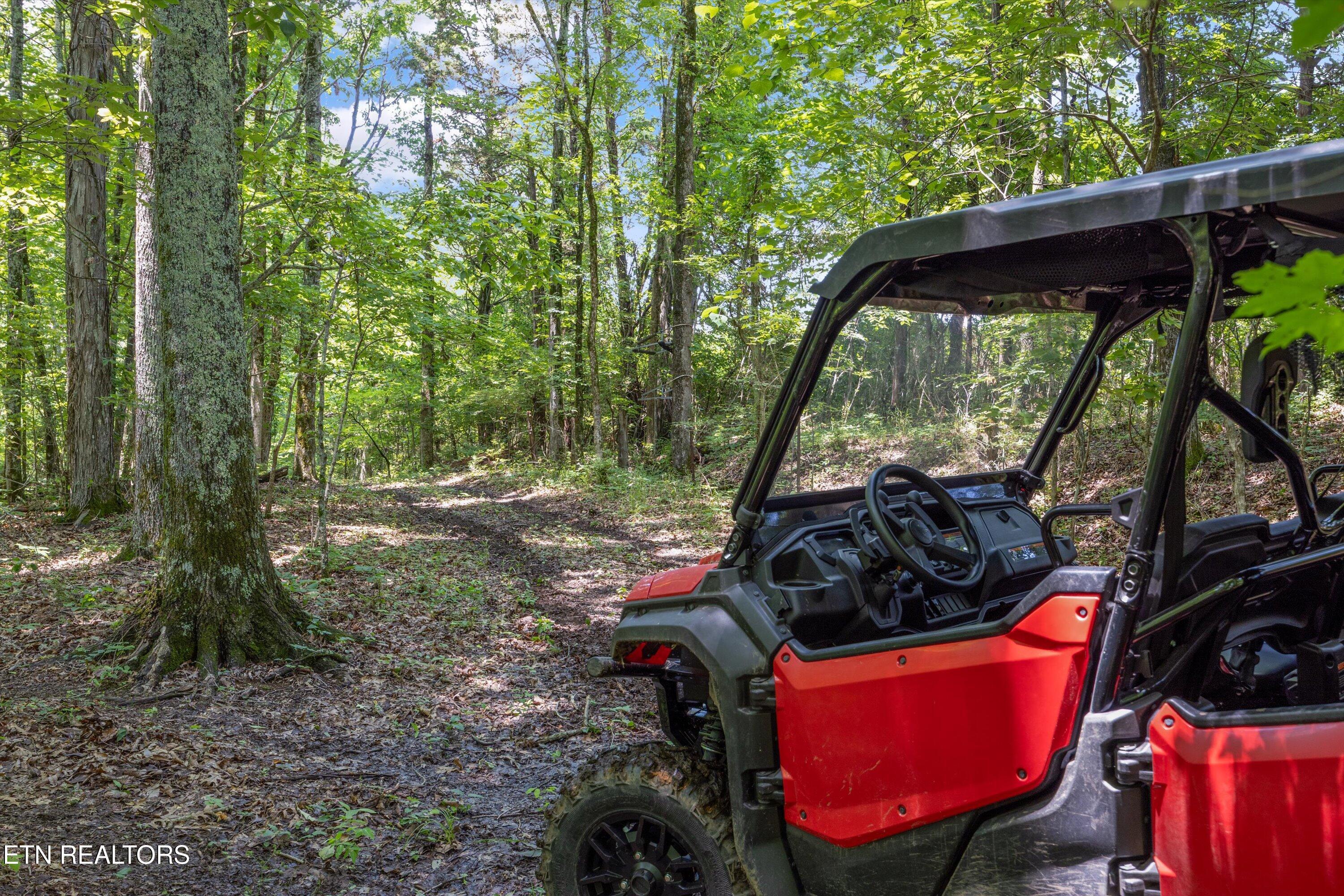 Fort Loudoun and Tellico Lake Real Estate - Image# 18