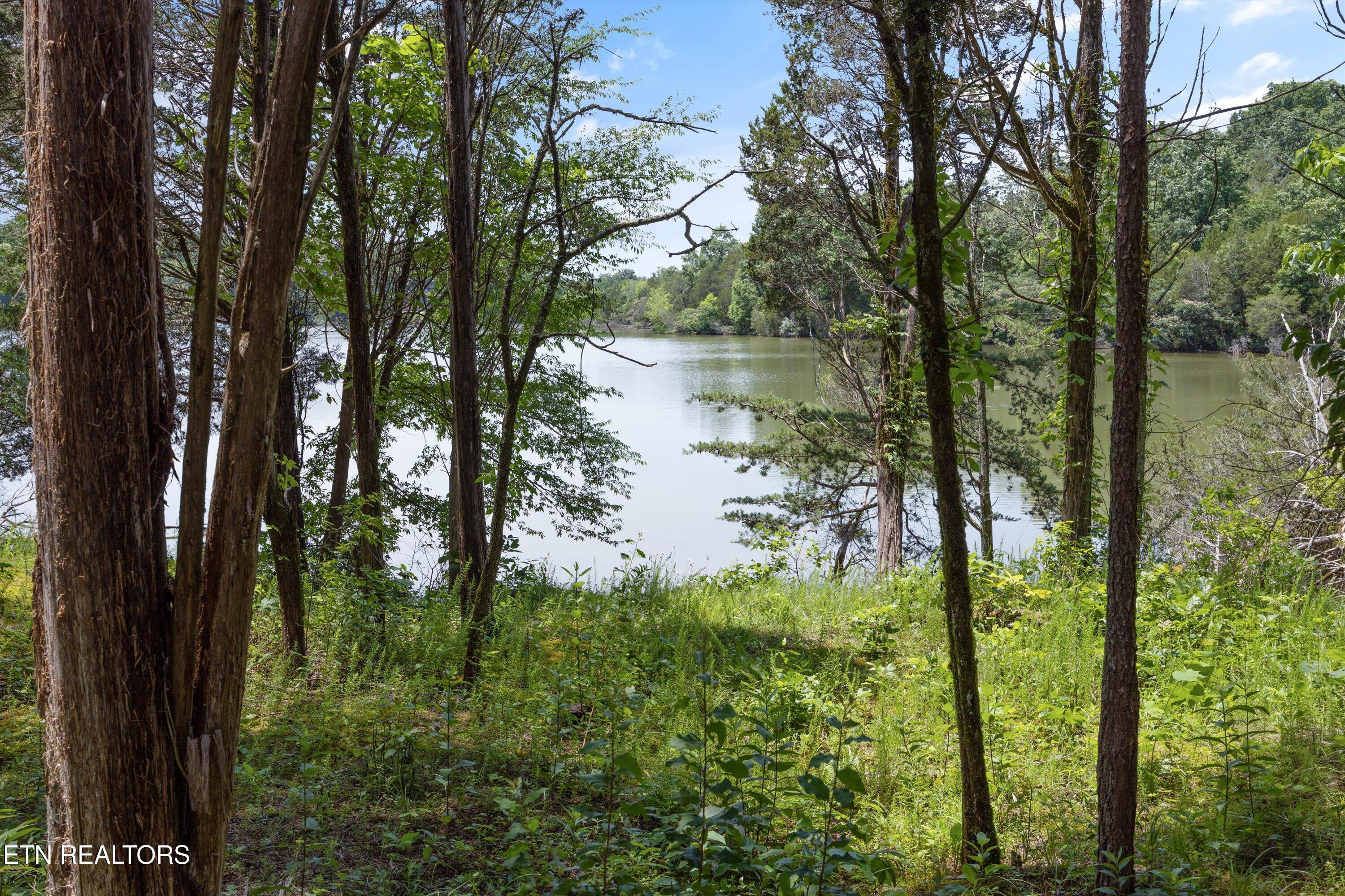 Fort Loudoun and Tellico Lake Real Estate - Image# 20