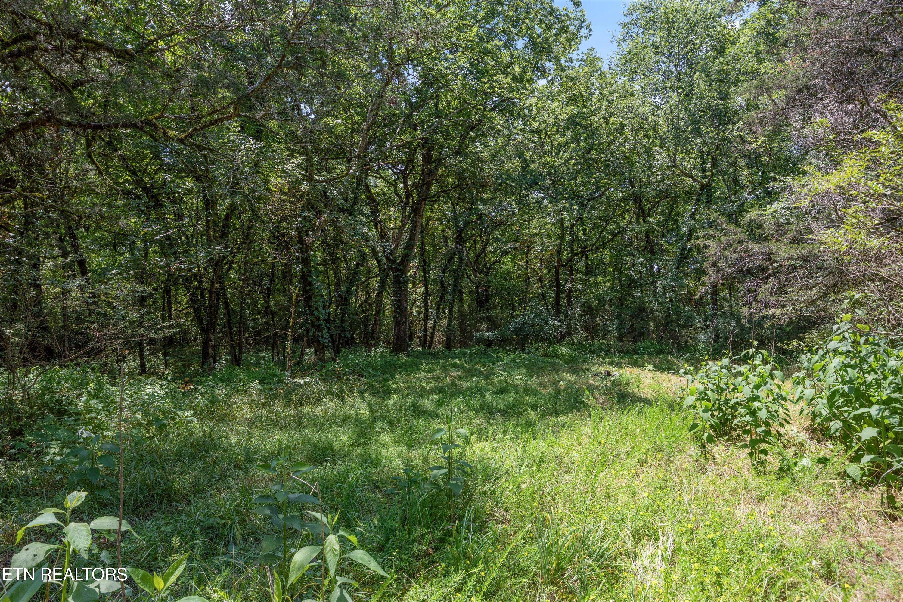 Fort Loudoun and Tellico Lake Real Estate - Image# 16