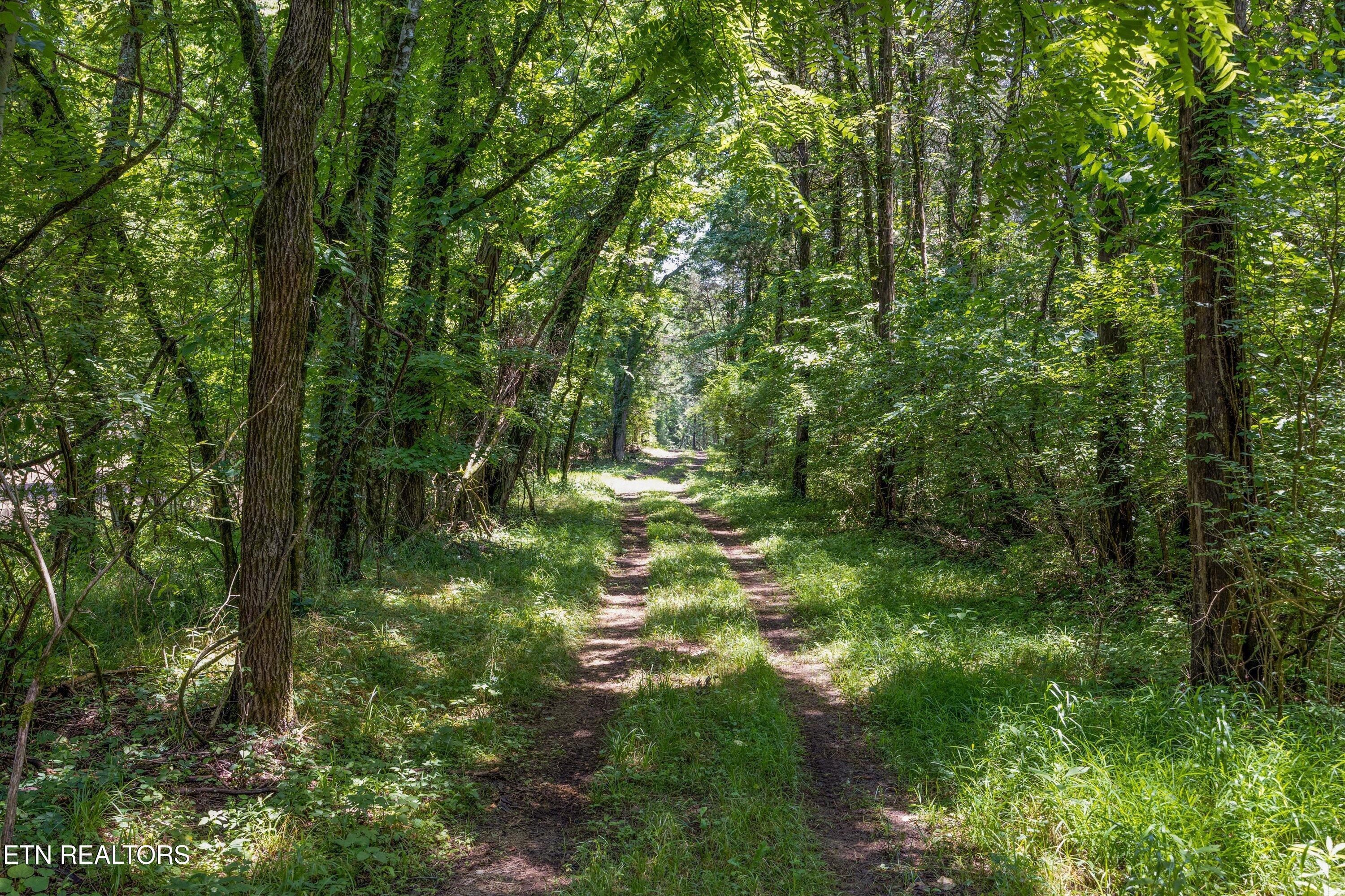Fort Loudoun and Tellico Lake Real Estate - Image# 13