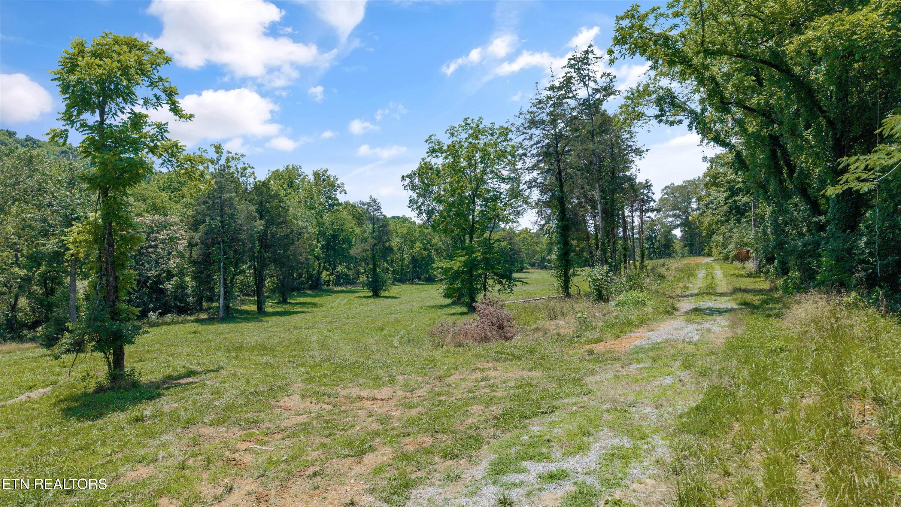 Fort Loudoun and Tellico Lake Real Estate - Image# 23
