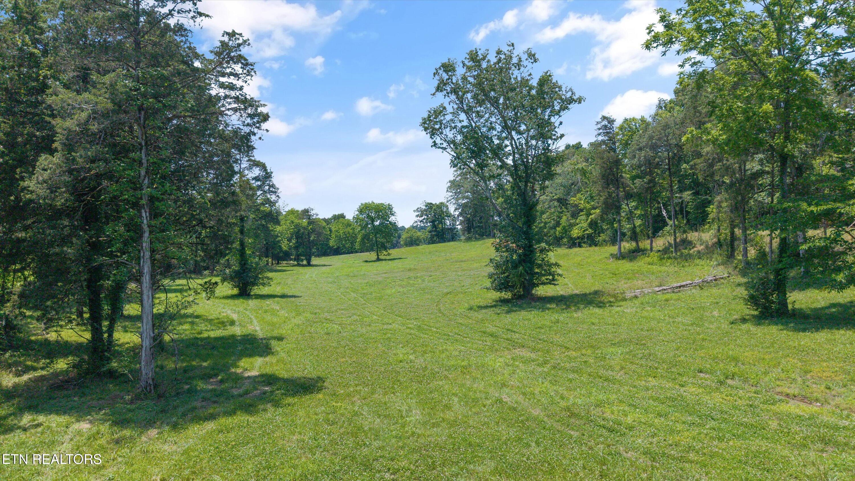 Fort Loudoun and Tellico Lake Real Estate - Image# 24