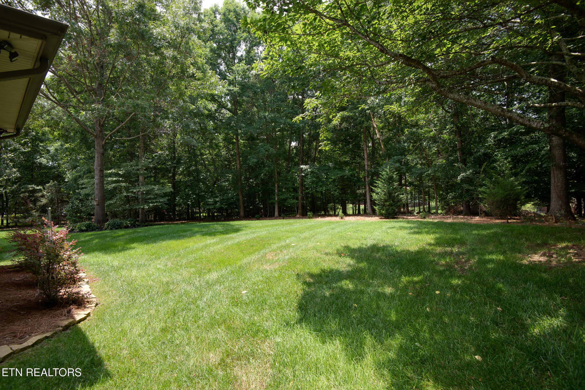 Fort Loudoun and Tellico Lake Real Estate - Image# 31