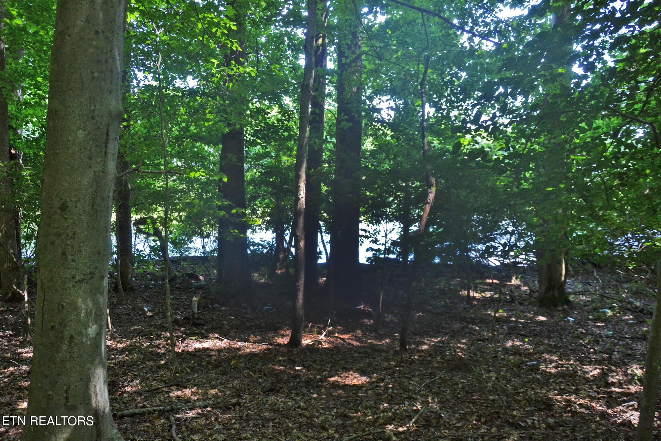 Fort Loudoun and Tellico Lake Real Estate - Image# 5