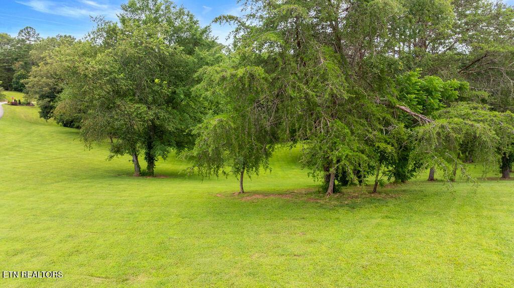 Fort Loudoun and Tellico Lake Real Estate - Image# 2