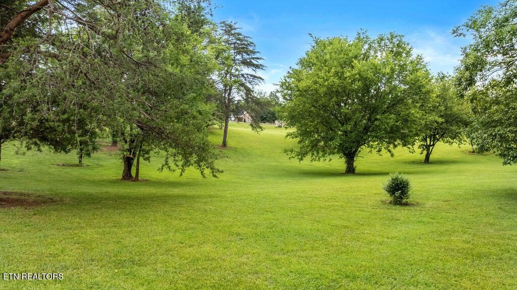 Fort Loudoun and Tellico Lake Real Estate - Image# 9