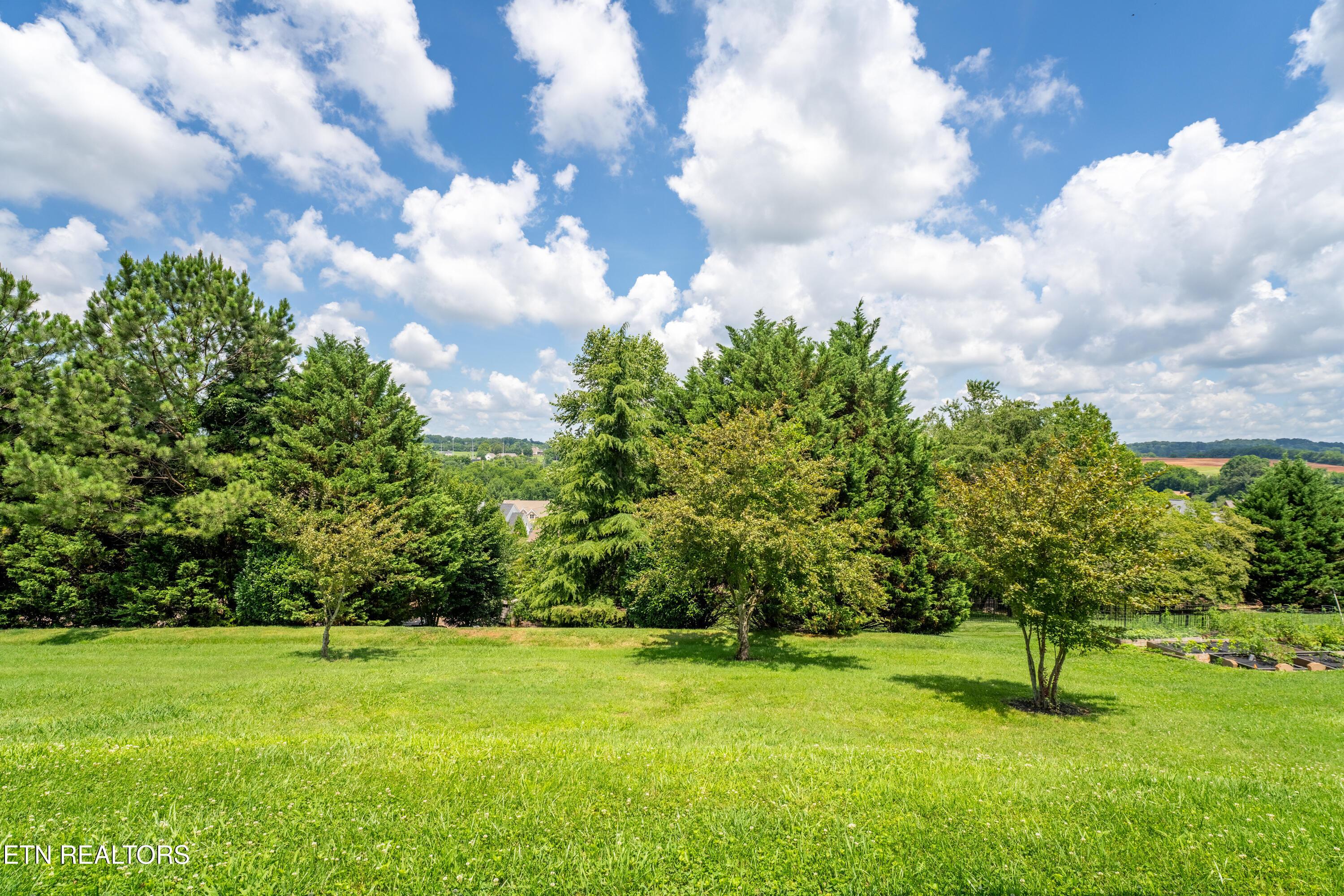 12635 Bayview Drive, Knoxville, TN - Fort Loudoun and Tellico Lake Real Estate - Image# 35