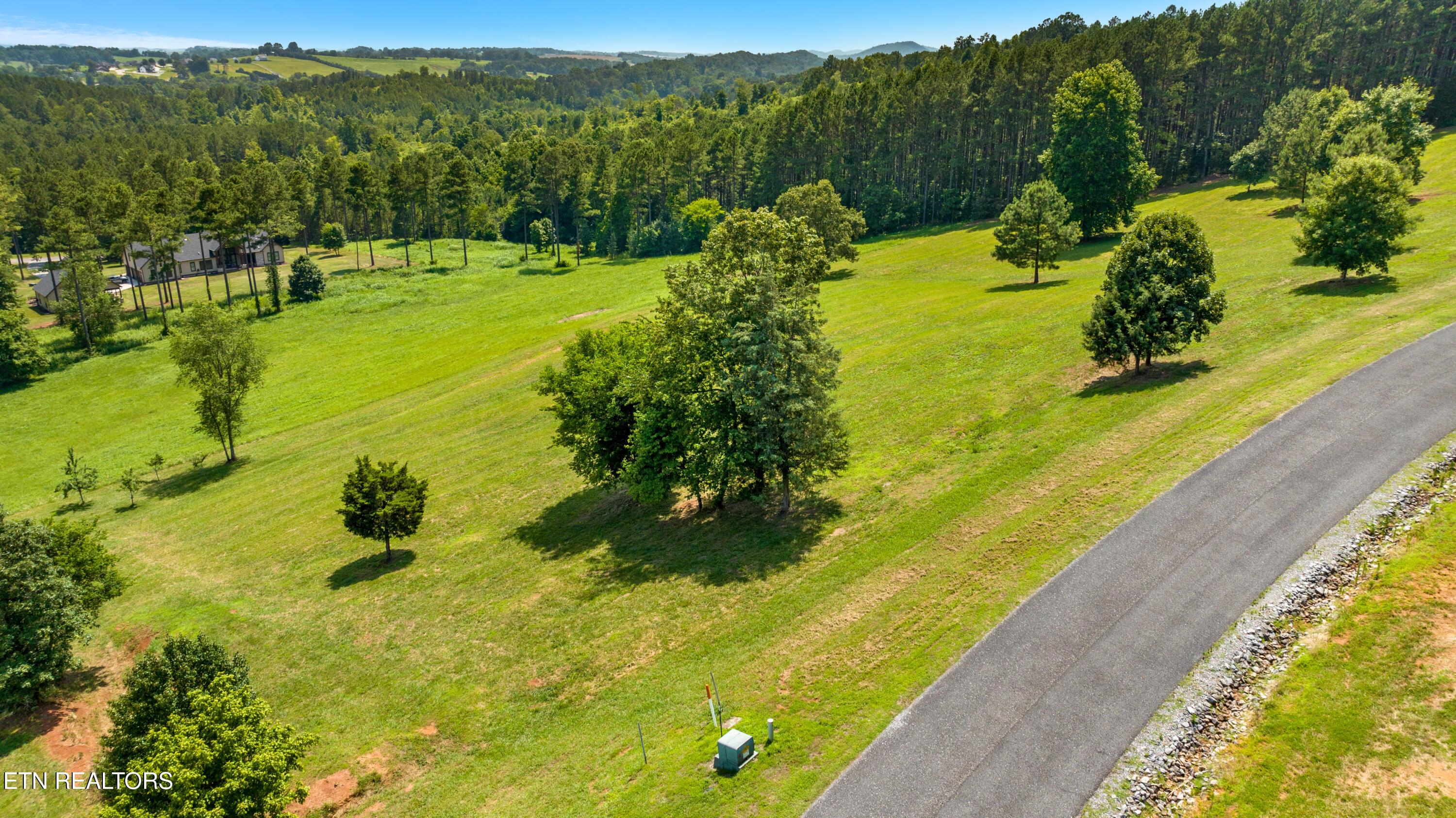 141 Overlook Way, Vonore, TN - Fort Loudoun and Tellico Lake Real Estate - Image# 3