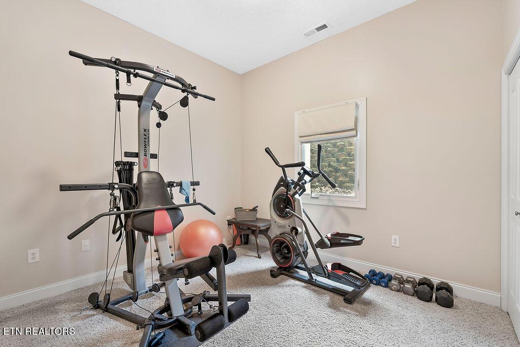 210 Indian Shadows Drive, Maryville, TN - Fort Loudoun and Tellico Lake Real Estate - Image# 38