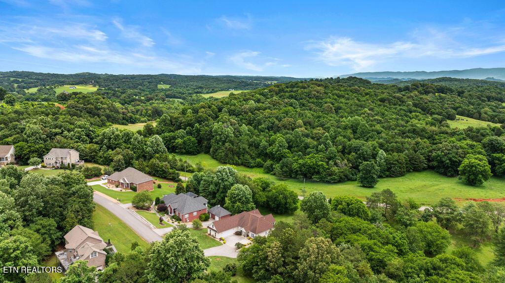 210 Indian Shadows Drive, Maryville, TN - Fort Loudoun and Tellico Lake Real Estate - Image# 54