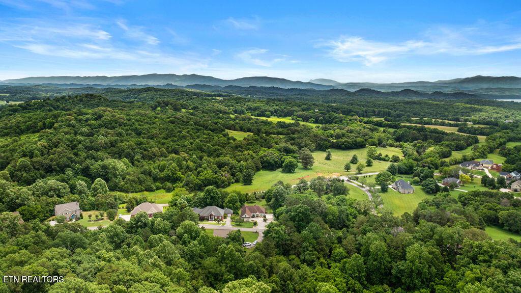 210 Indian Shadows Drive, Maryville, TN - Fort Loudoun and Tellico Lake Real Estate - Image# 56