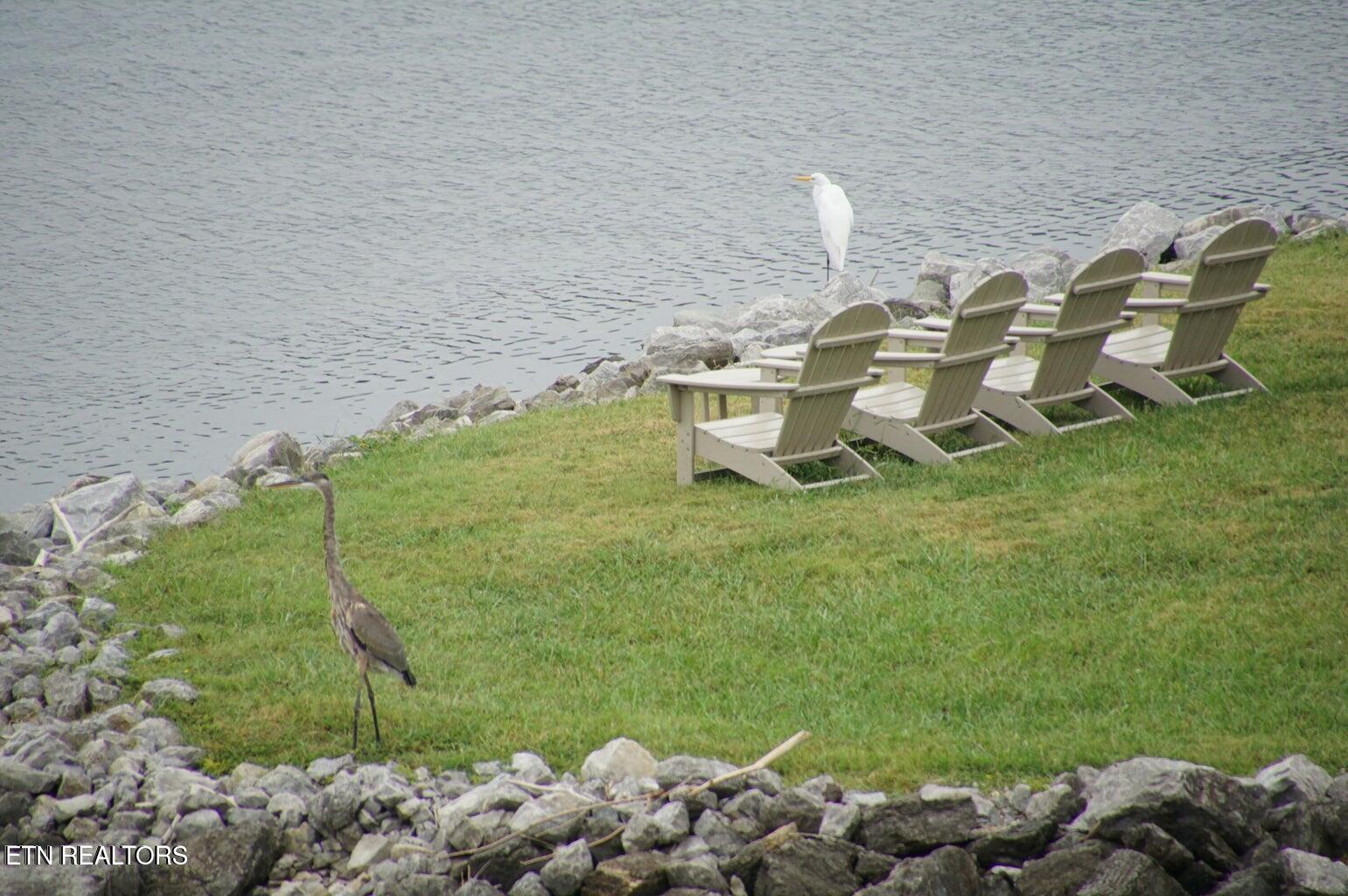 Fort Loudoun and Tellico Lake Real Estate - Image# 17