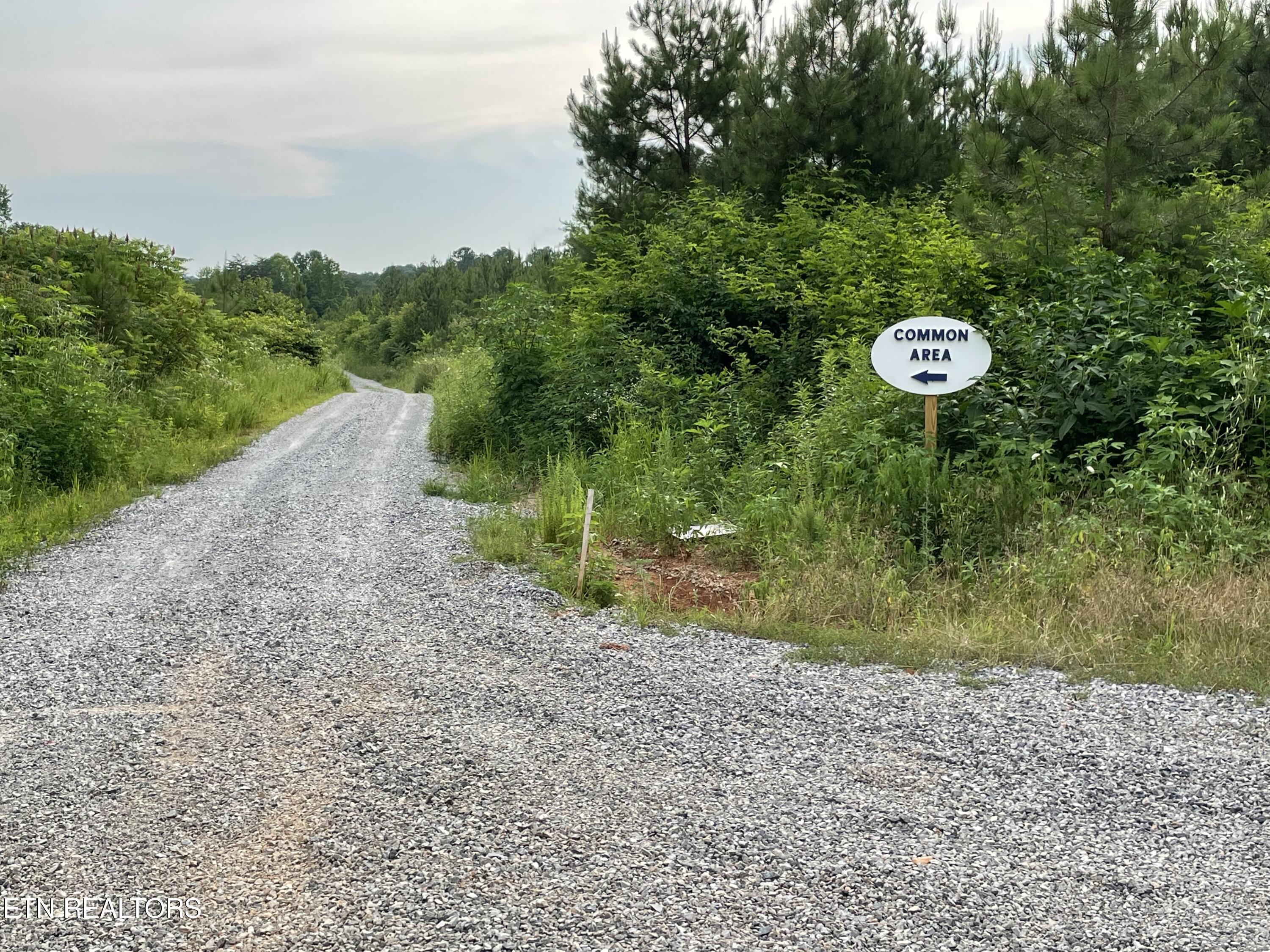 Lot 51 Three Point Rd, Vonore, TN - Fort Loudoun and Tellico Lake Real Estate - Image# 23