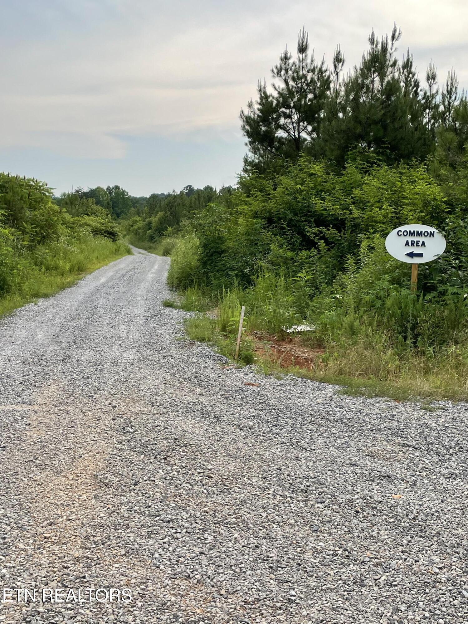 Lot 51 Three Point Rd, Vonore, TN - Fort Loudoun and Tellico Lake Real Estate - Image# 22