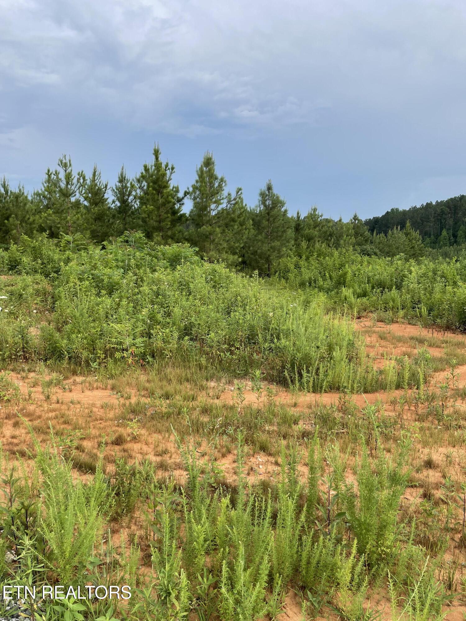 Lot 51 Three Point Rd, Vonore, TN - Fort Loudoun and Tellico Lake Real Estate - Image# 21