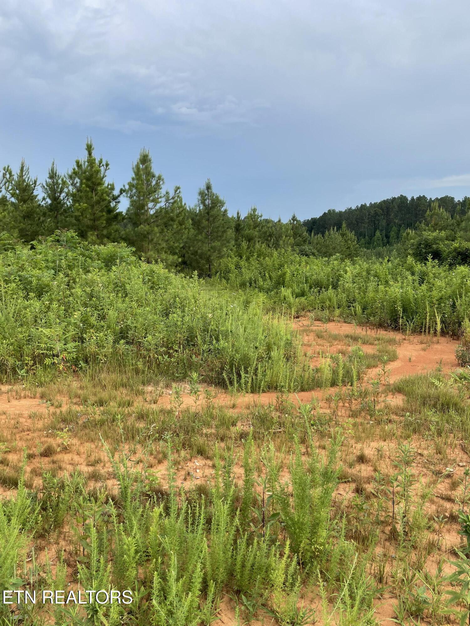 Lot 51 Three Point Rd, Vonore, TN - Fort Loudoun and Tellico Lake Real Estate - Image# 20