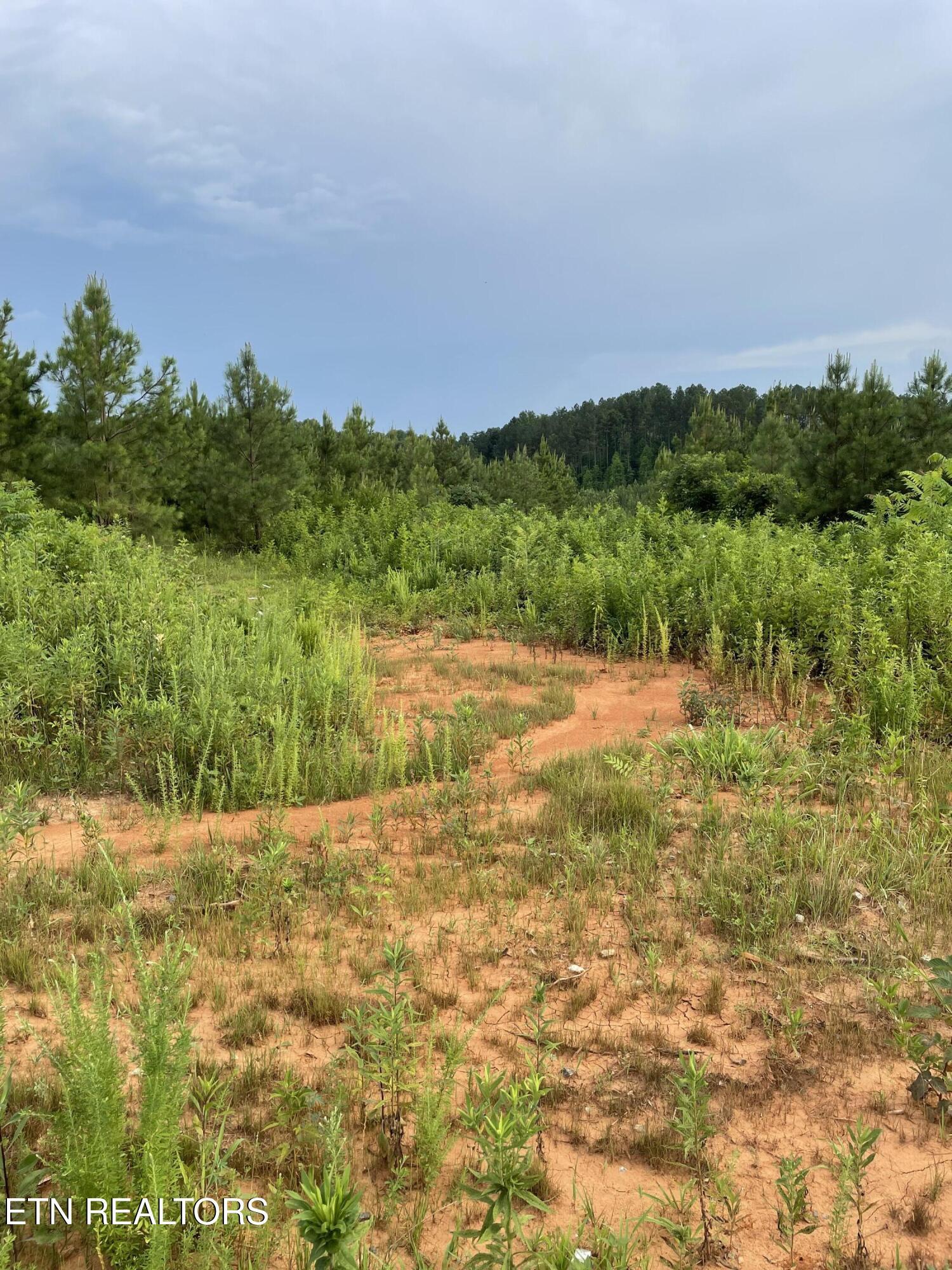 Lot 51 Three Point Rd, Vonore, TN - Fort Loudoun and Tellico Lake Real Estate - Image# 18