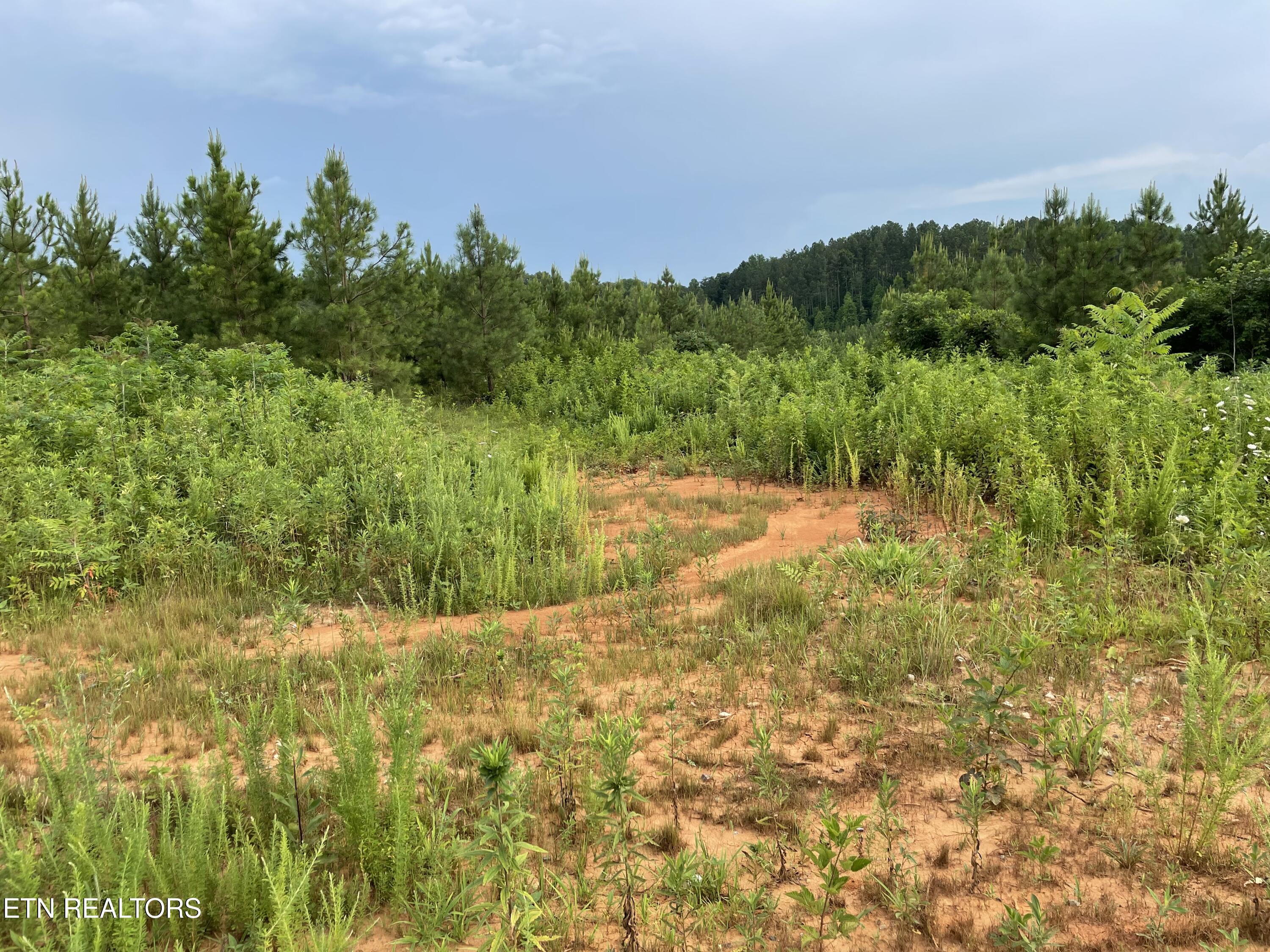 Lot 51 Three Point Rd, Vonore, TN - Fort Loudoun and Tellico Lake Real Estate - Image# 1