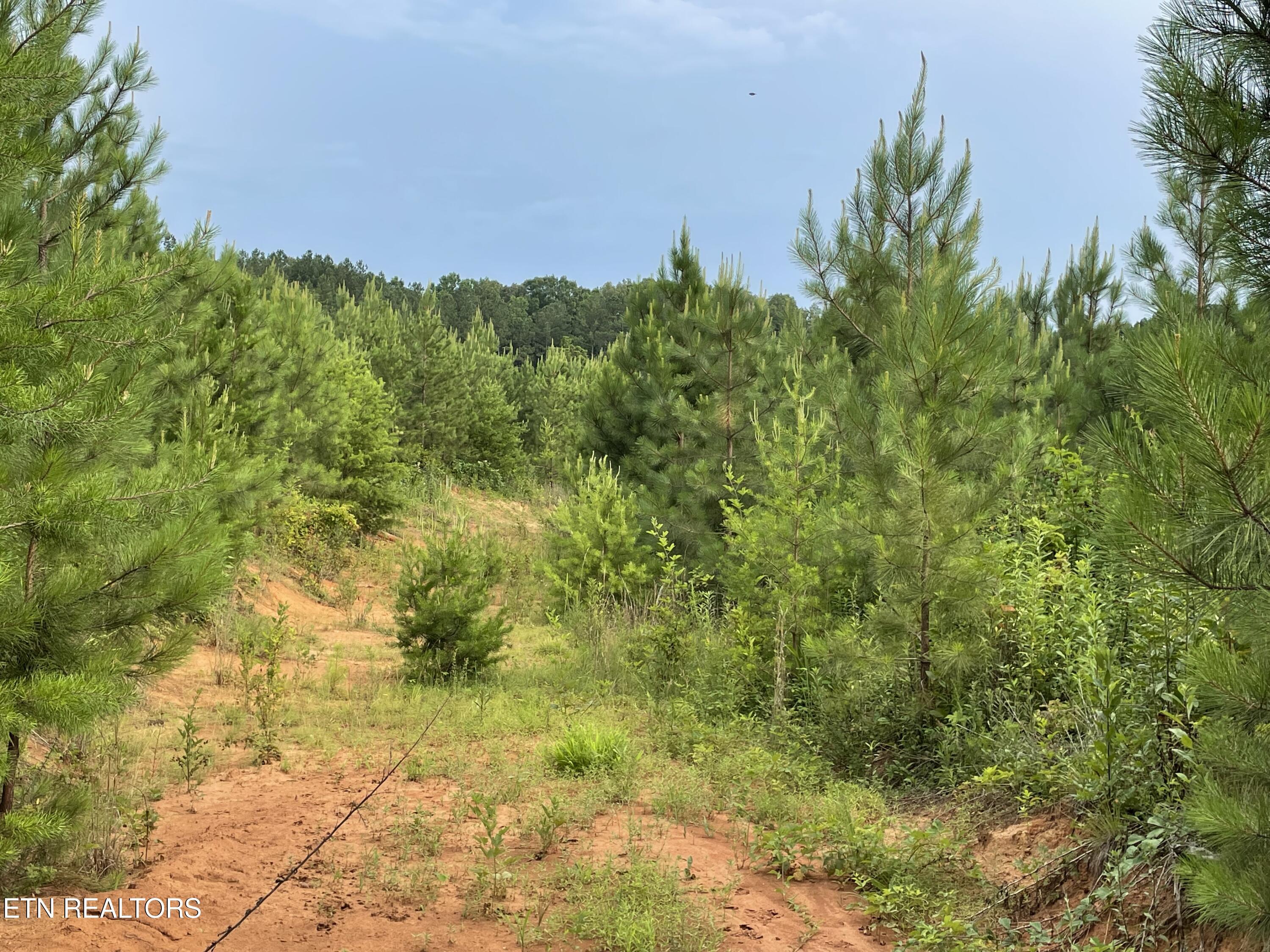 Lot 51 Three Point Rd, Vonore, TN - Fort Loudoun and Tellico Lake Real Estate - Image# 12