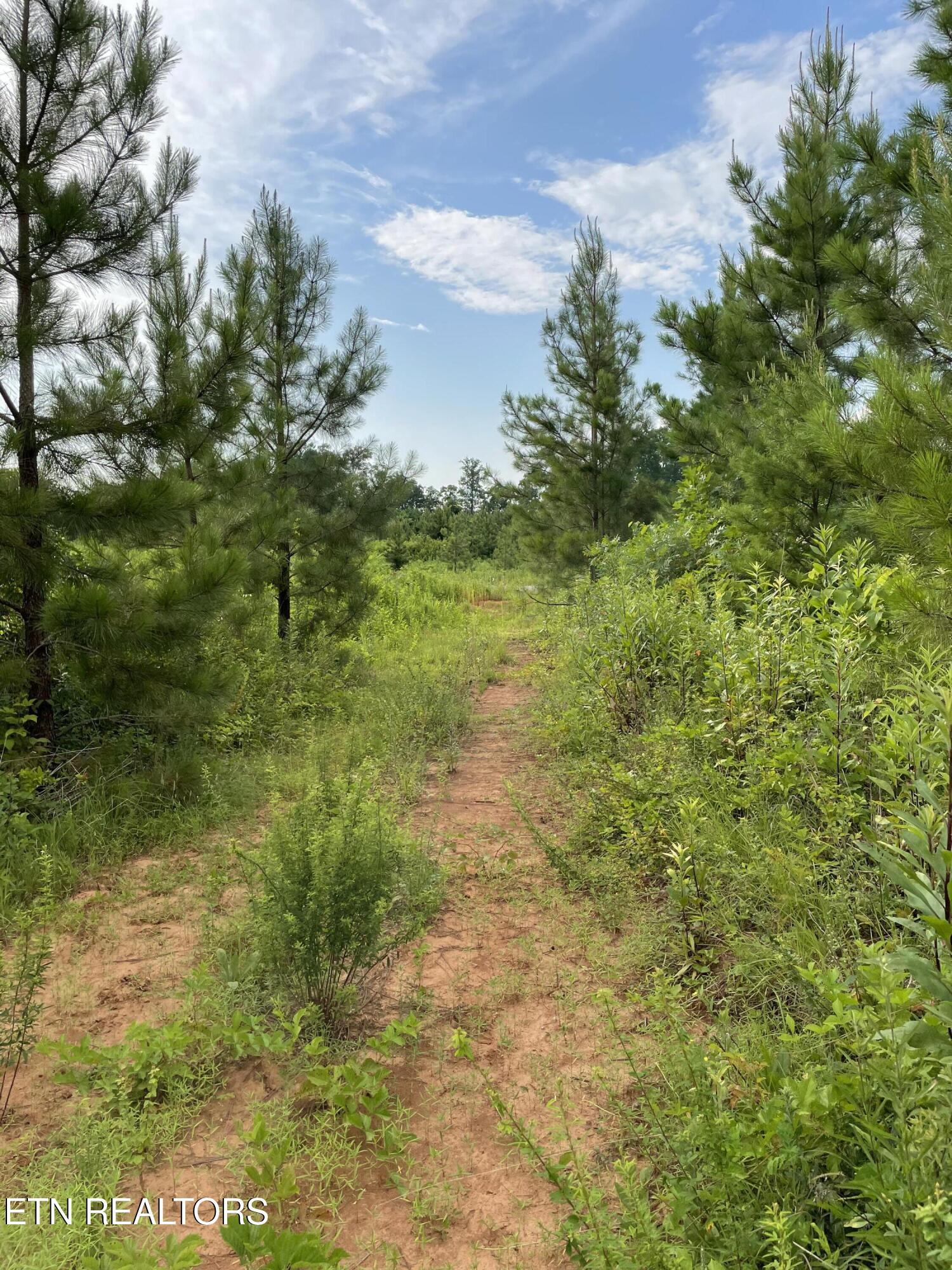 Lot 51 Three Point Rd, Vonore, TN - Fort Loudoun and Tellico Lake Real Estate - Image# 8